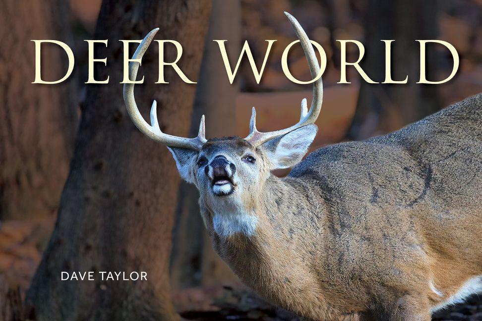 Vorderes Coverbild Deer World
