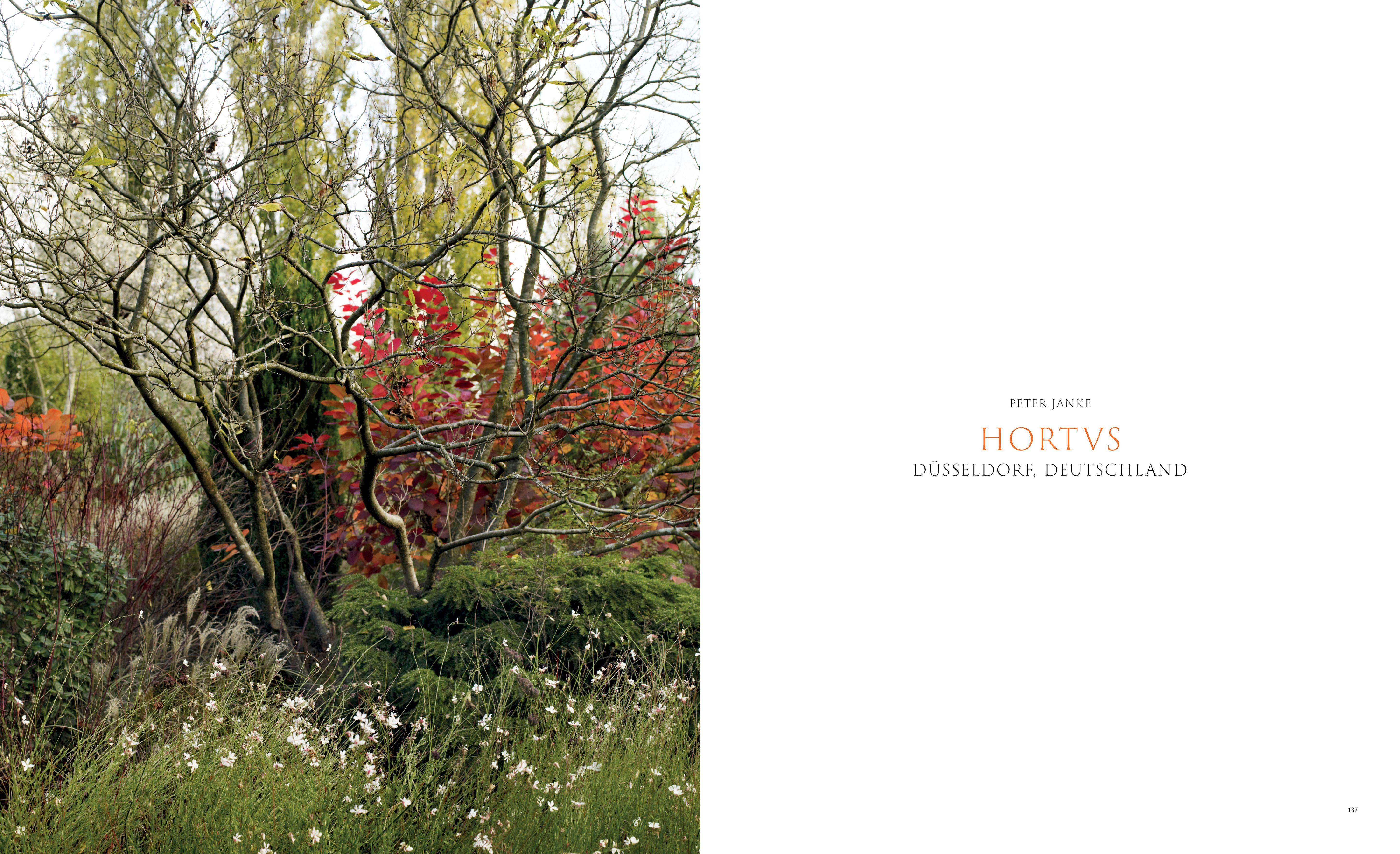 Beispielinhalt (Bild) Pastorale Gärten