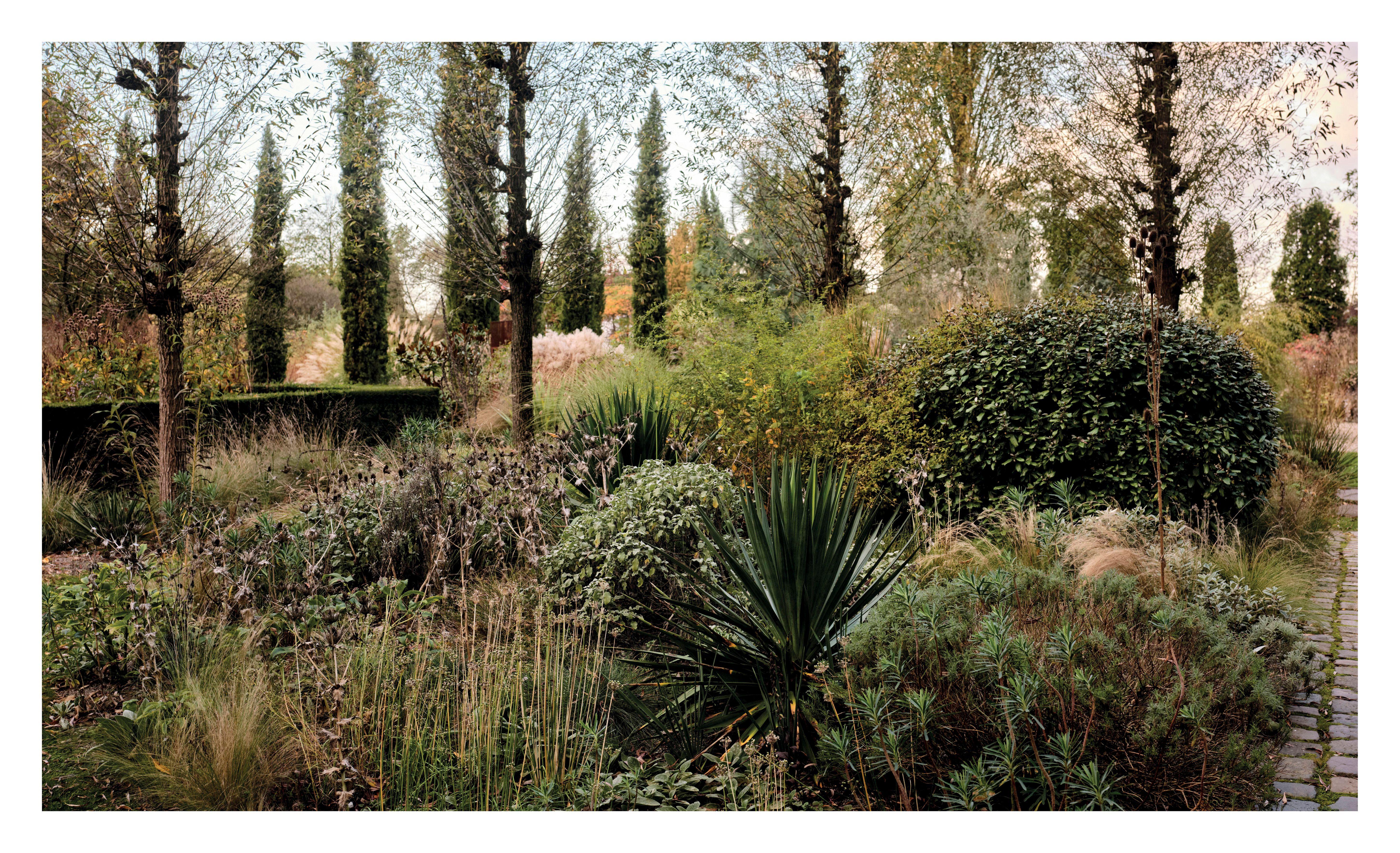 Beispielinhalt (Bild) Pastorale Gärten