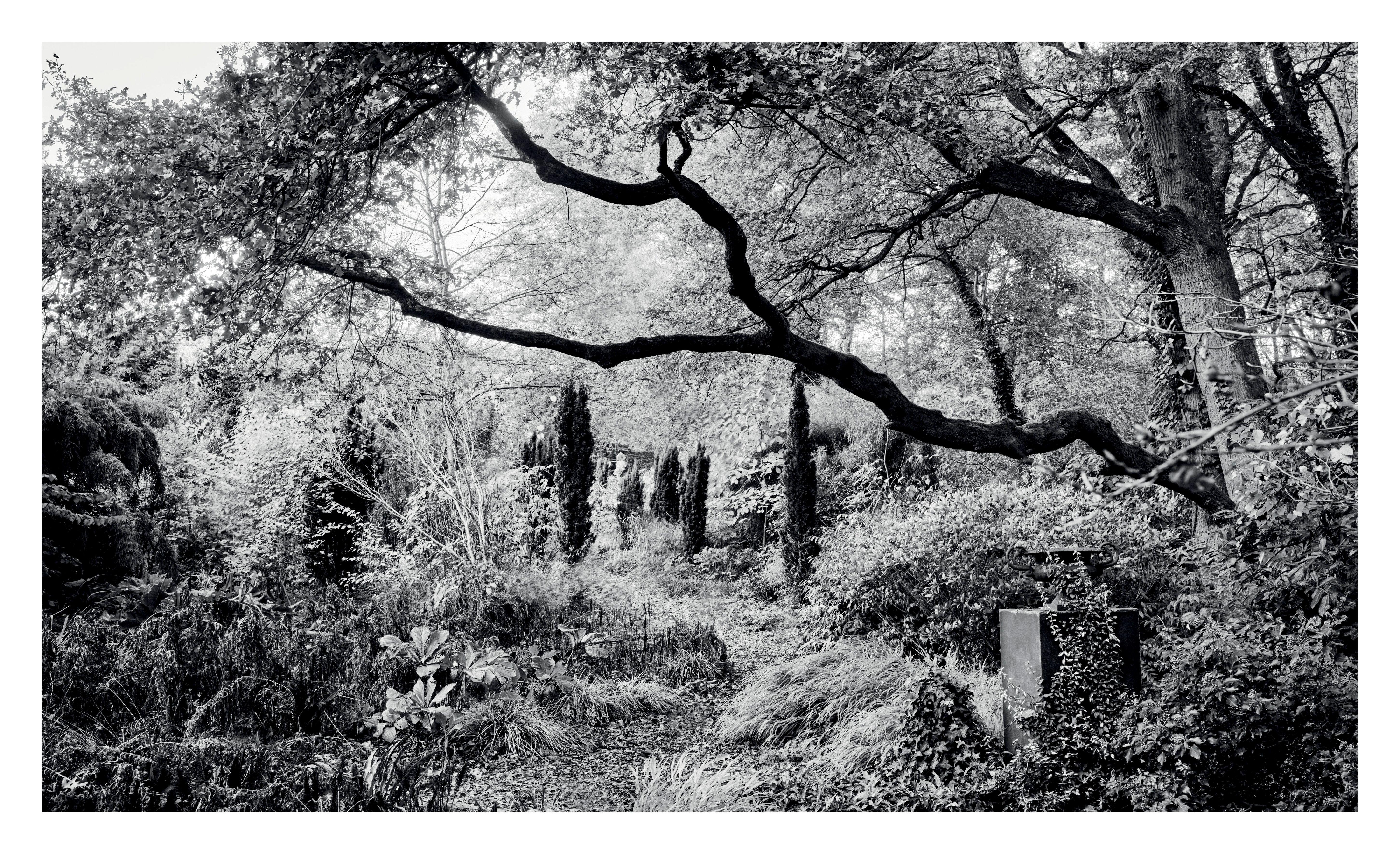 Beispielinhalt (Bild) Pastorale Gärten