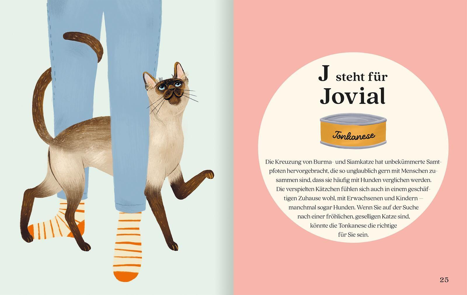 Beispielinhalt (Bild) Katzenalphabet