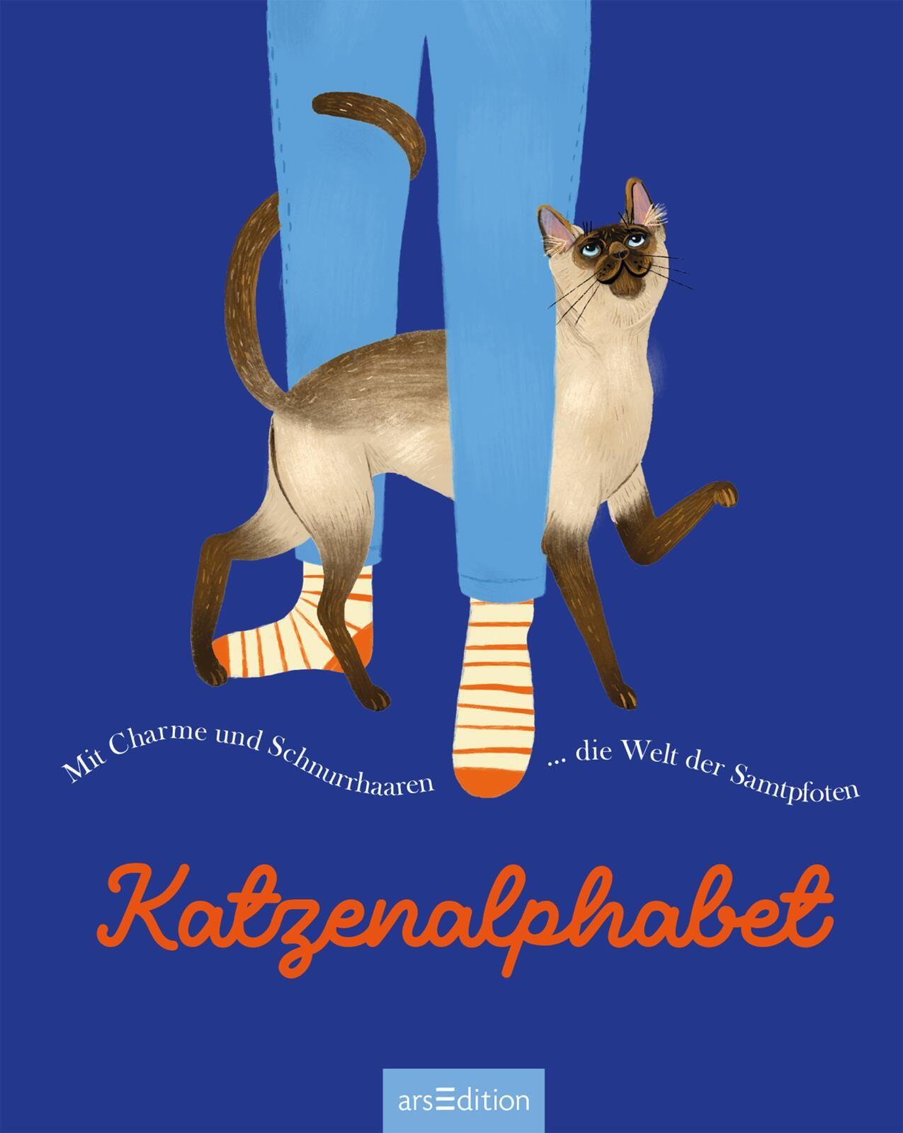 Beispielinhalt (Bild) Katzenalphabet