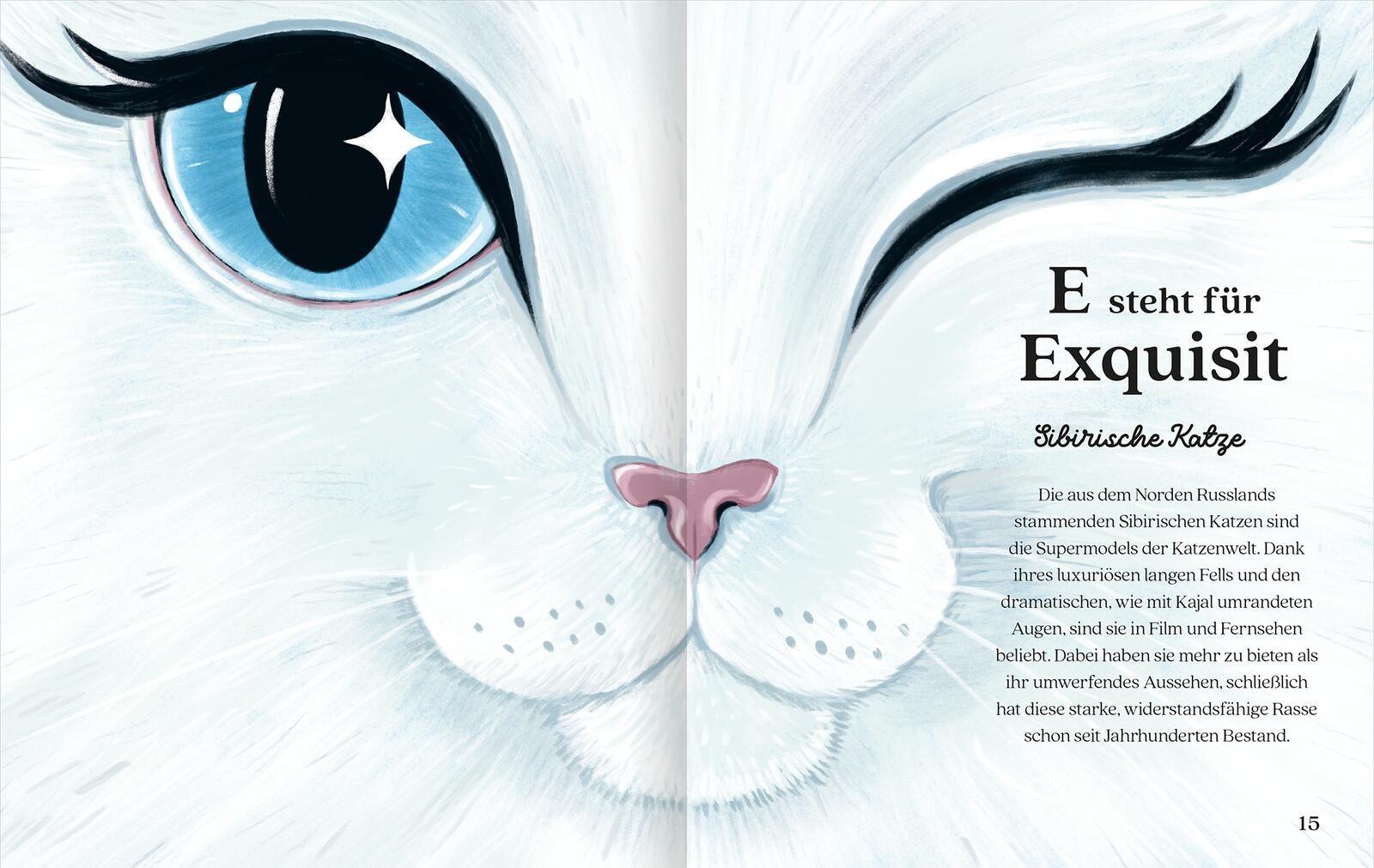 Beispielinhalt (Bild) Katzenalphabet