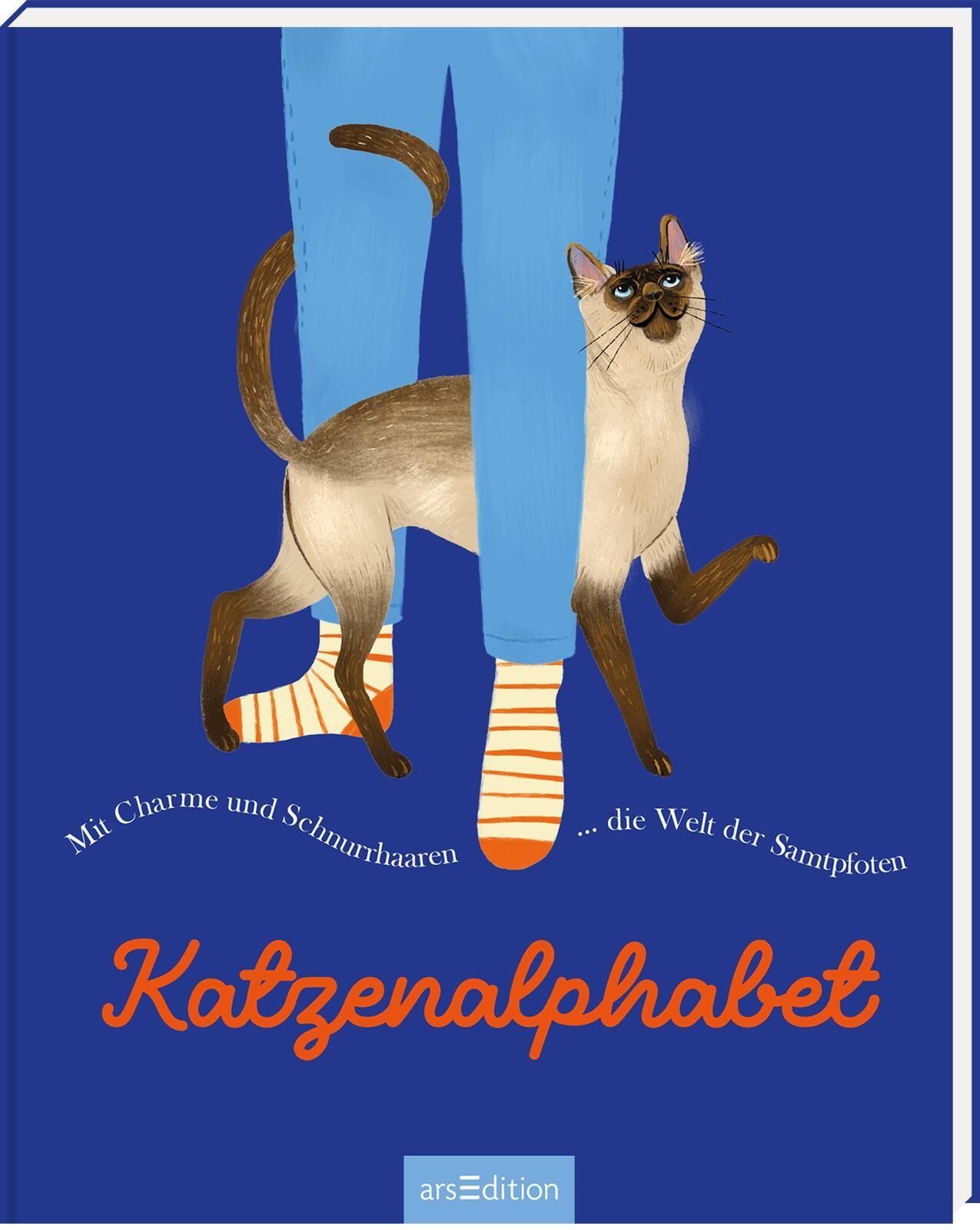 Vorderes Coverbild Katzenalphabet