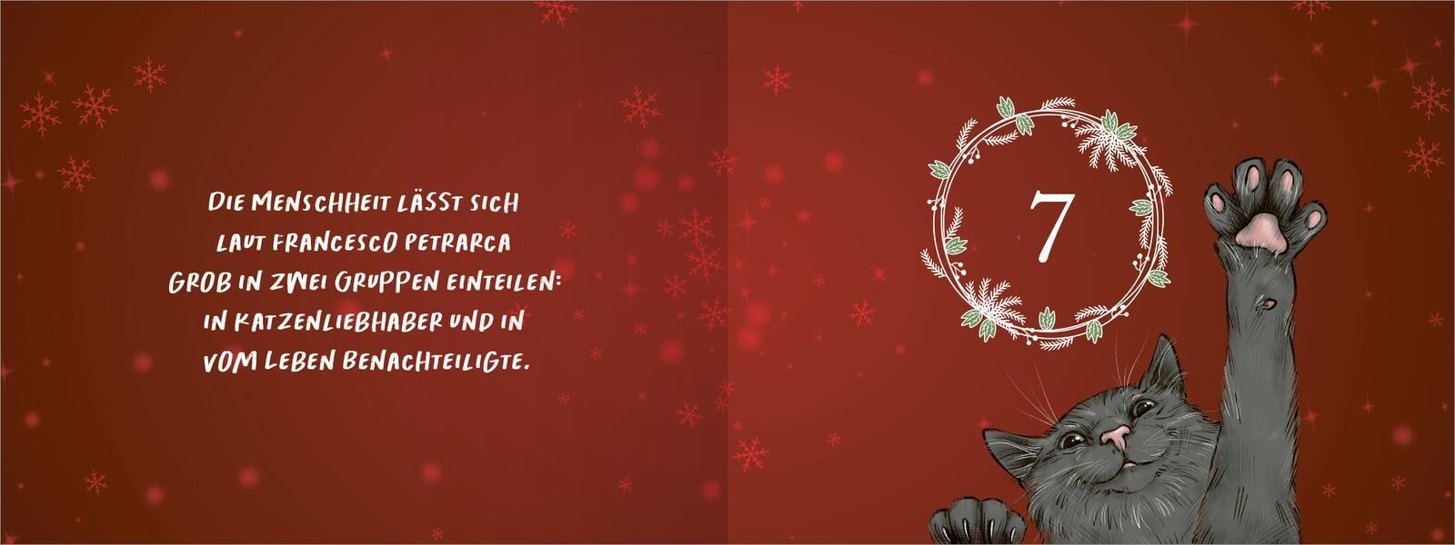 Beispielinhalt (Bild) Pfoten vom Tannenbaum