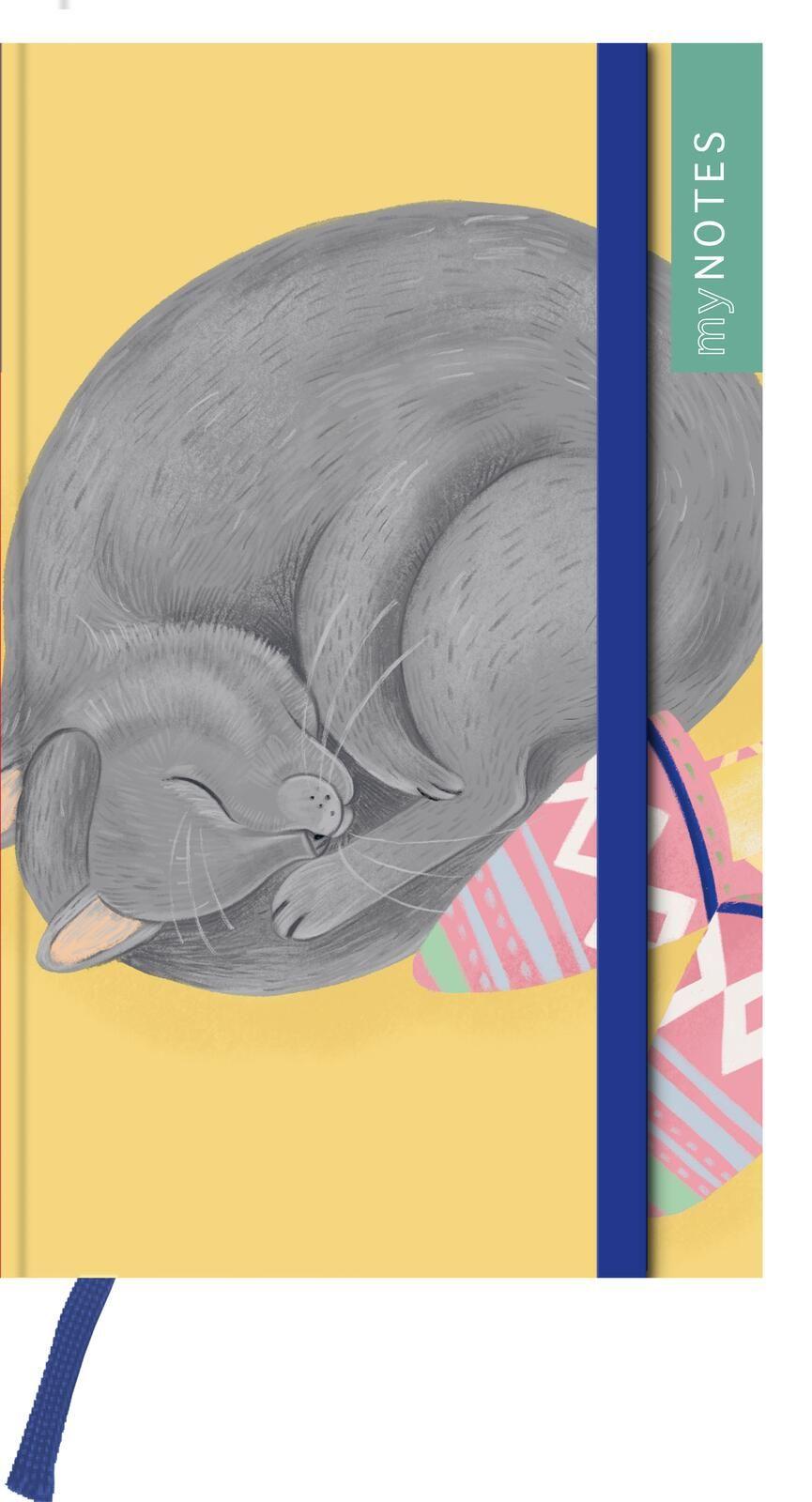 Beispielinhalt (Bild) myNOTES Papeterie: Notizbuch A6 Katzen regieren die Welt