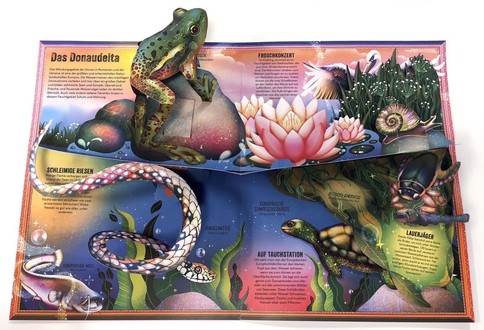 Beispielinhalt (Bild) Das unglaubliche Pop-up-Buch - Am Wasser