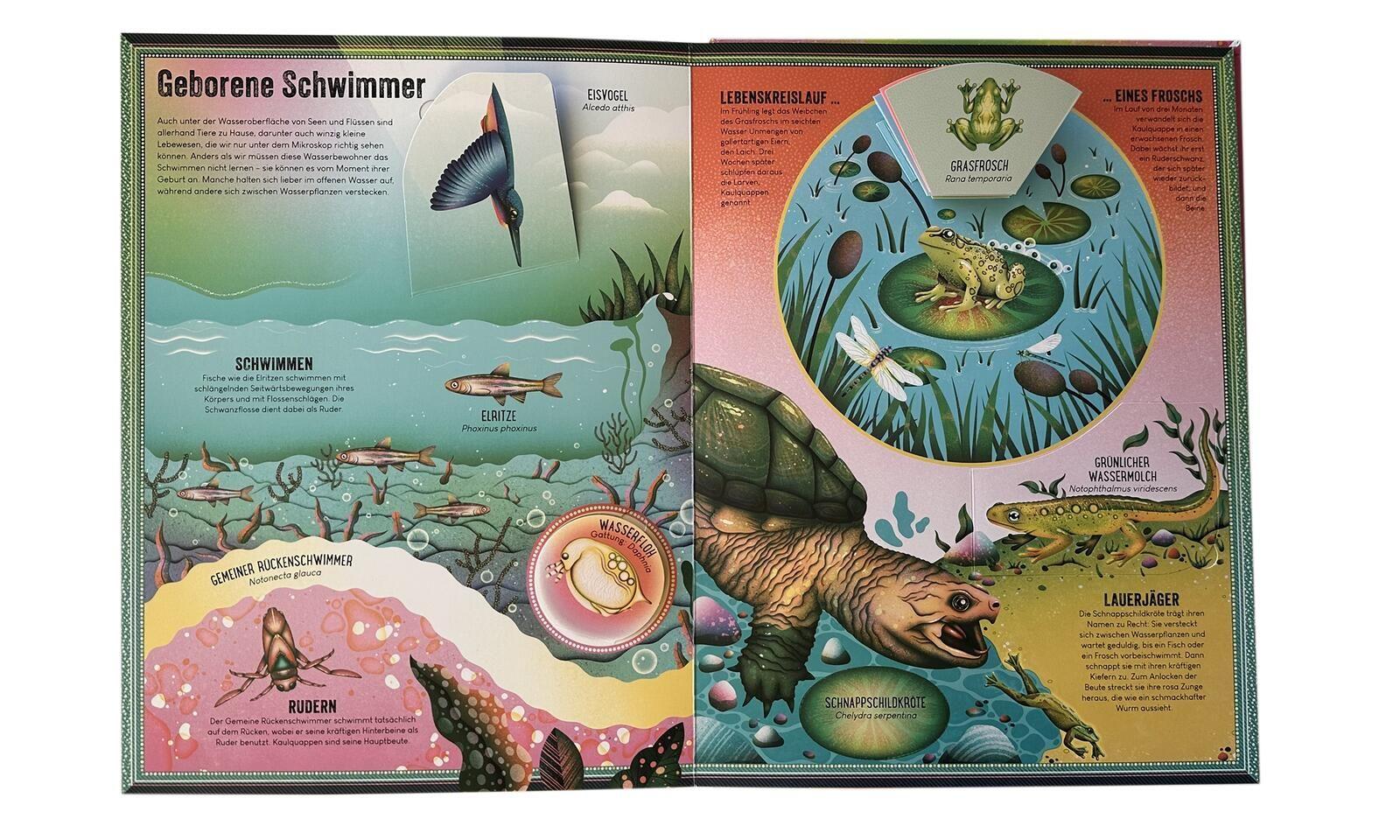 Beispielinhalt (Bild) Das unglaubliche Pop-up-Buch - Am Wasser