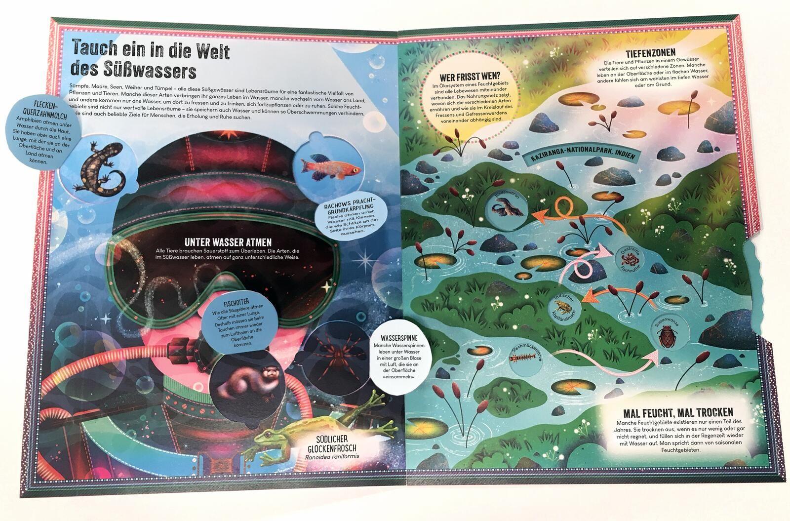 Beispielinhalt (Bild) Das unglaubliche Pop-up-Buch - Am Wasser