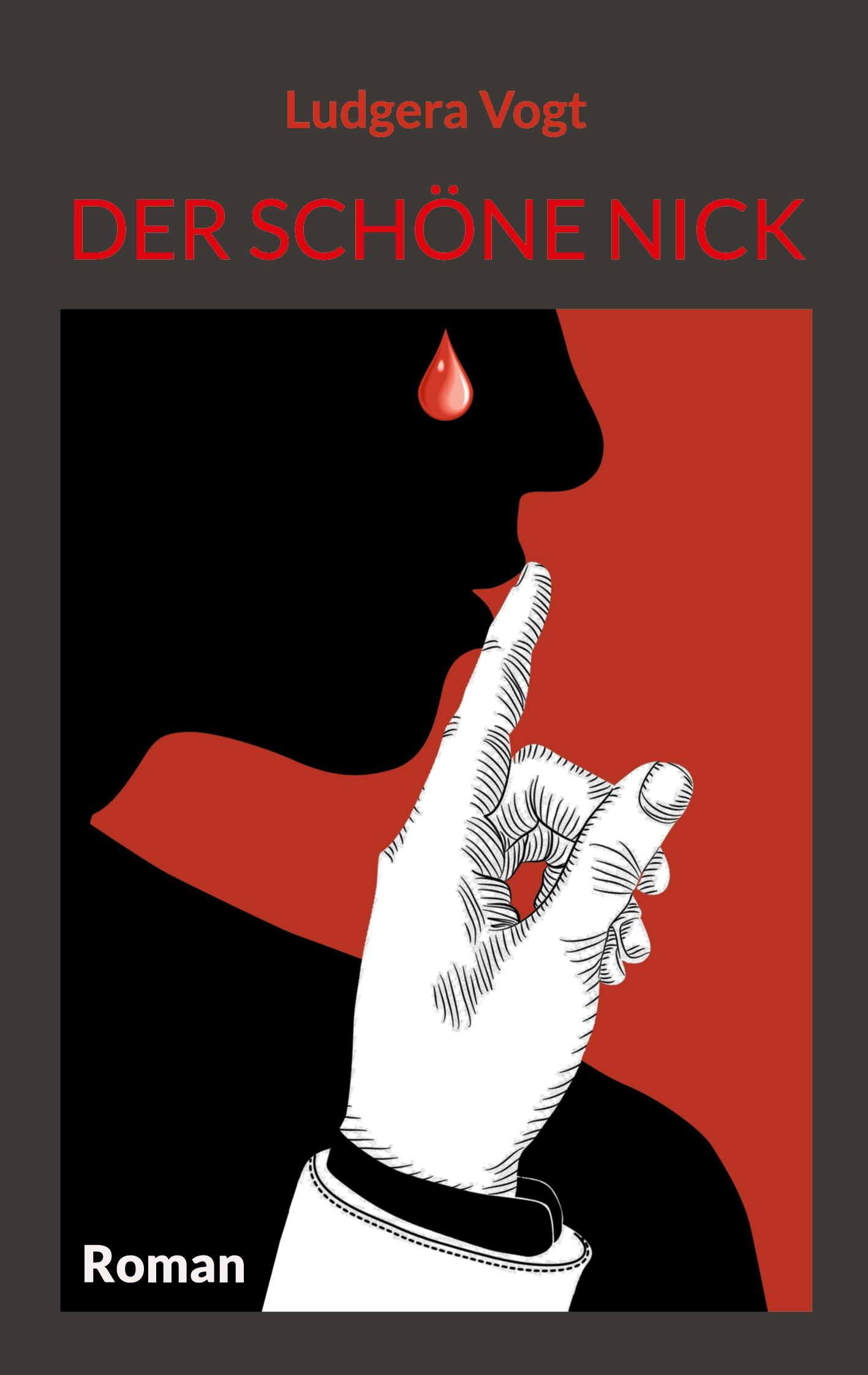 Vorderes Coverbild Der schöne Nick