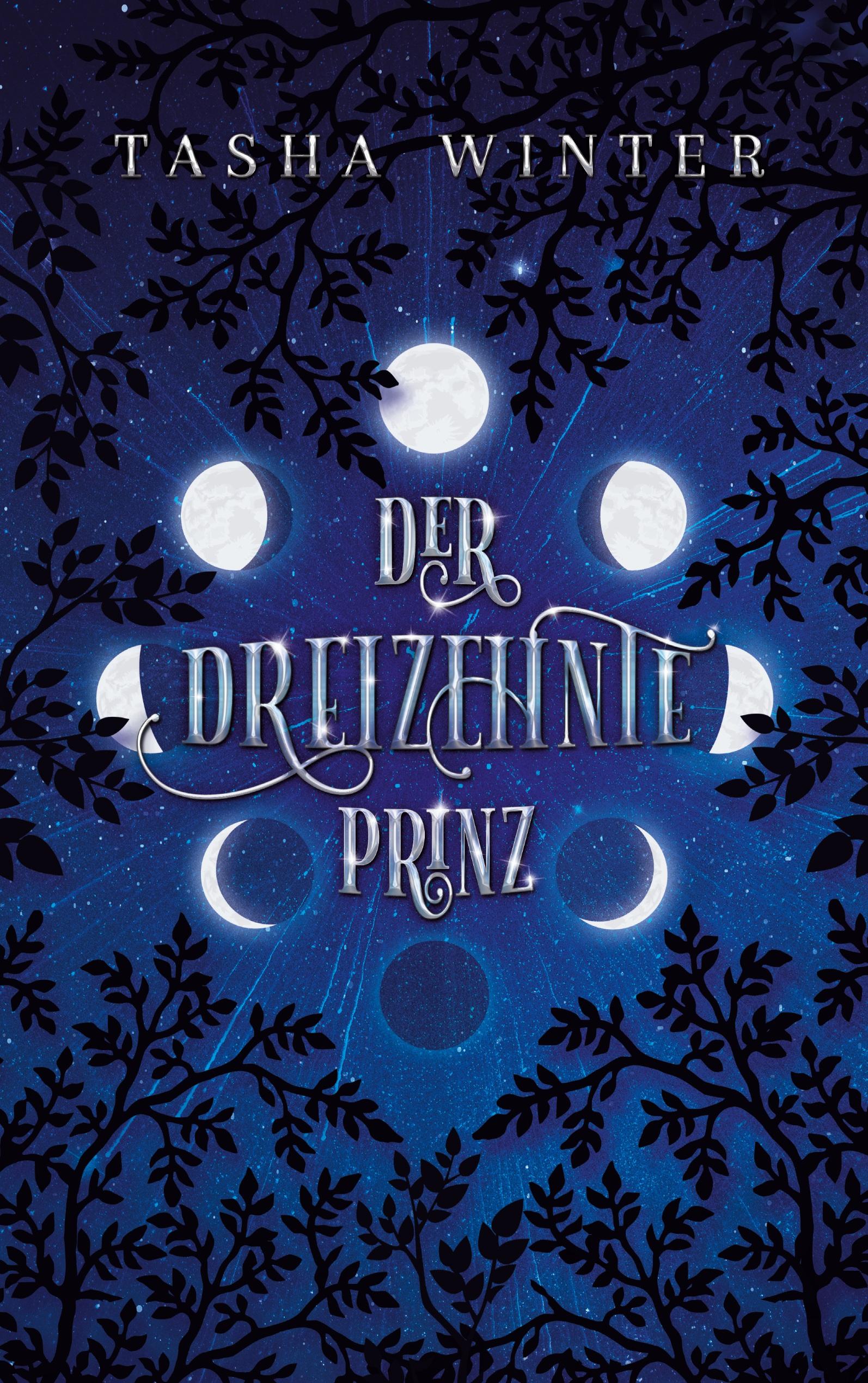 Vorderes Coverbild Der dreizehnte Prinz