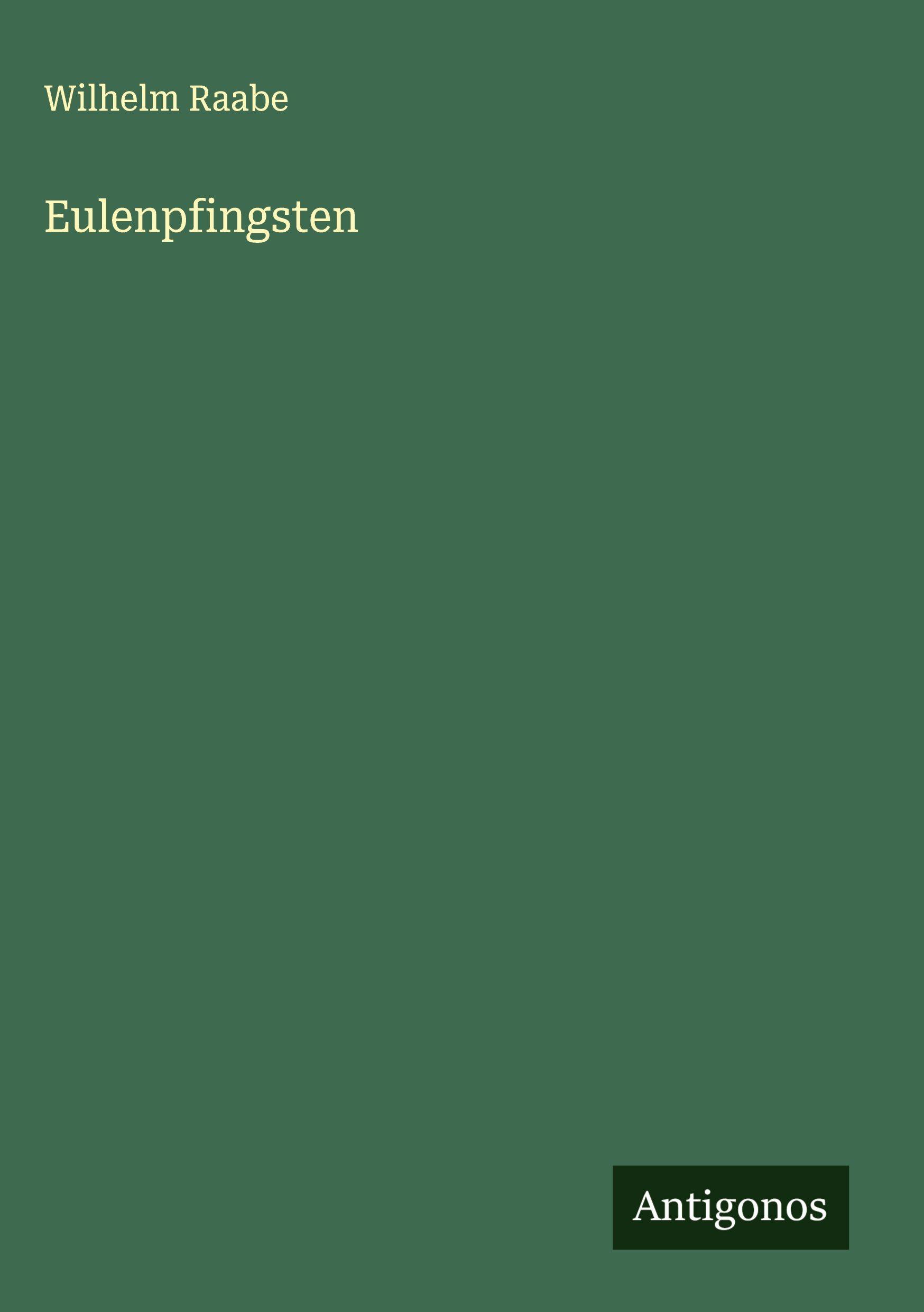 Vorderes Coverbild Eulenpfingsten