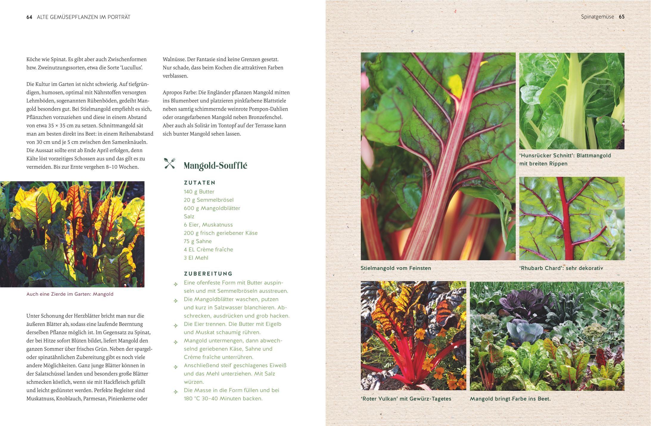 Beispielinhalt (Bild) Alte Gemüsepflanzen wiederentdeckt