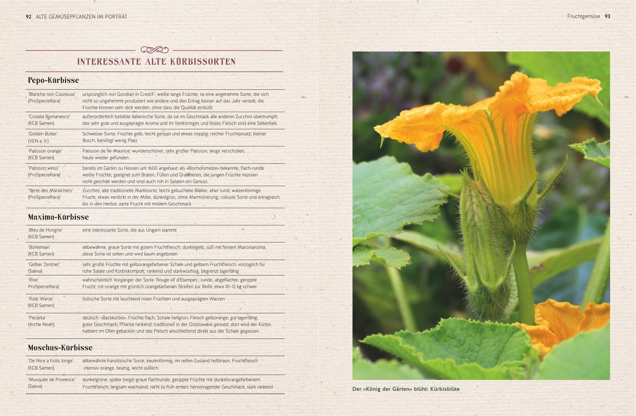 Beispielinhalt (Bild) Alte Gemüsepflanzen wiederentdeckt