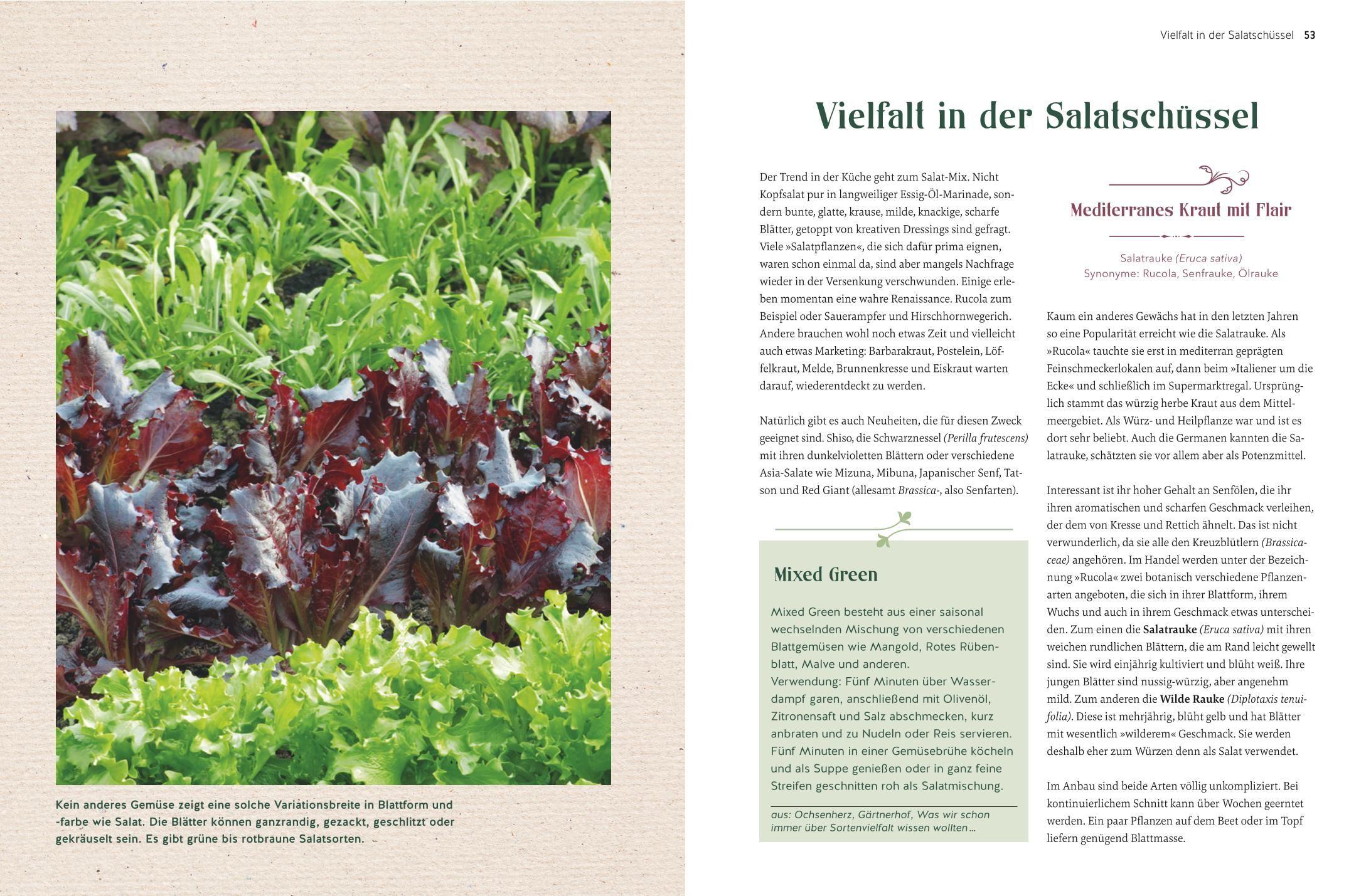 Beispielinhalt (Bild) Alte Gemüsepflanzen wiederentdeckt