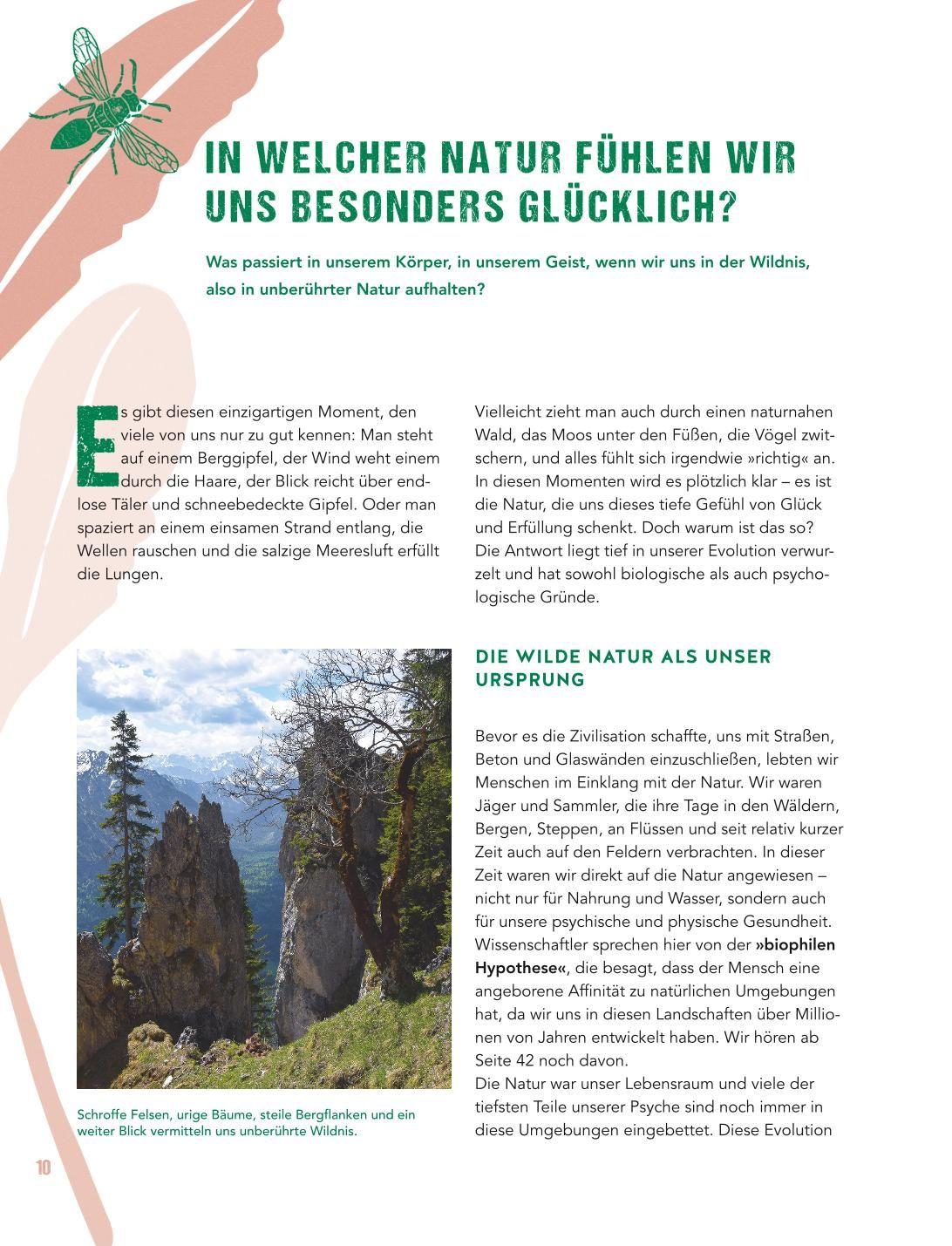 Beispielinhalt (Bild) Let's go wild!