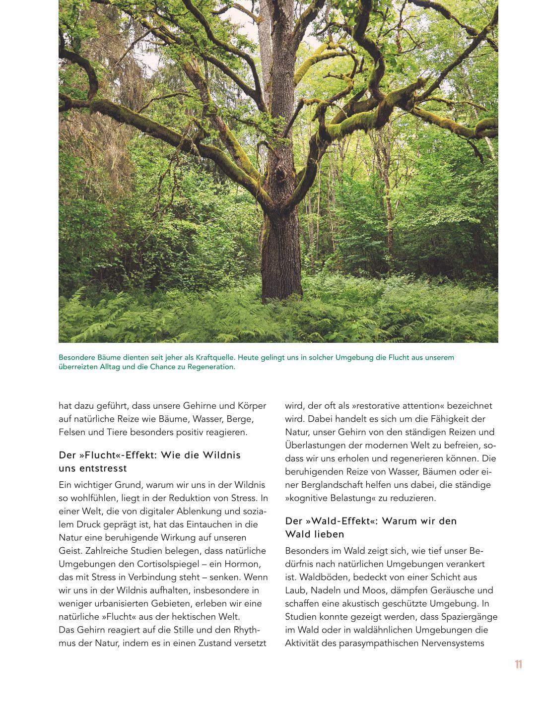 Beispielinhalt (Bild) Let's go wild!