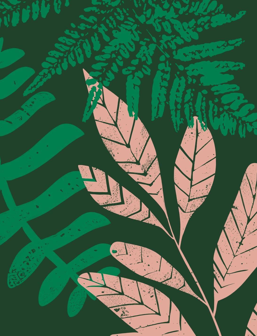 Beispielinhalt (Bild) Let's go wild!