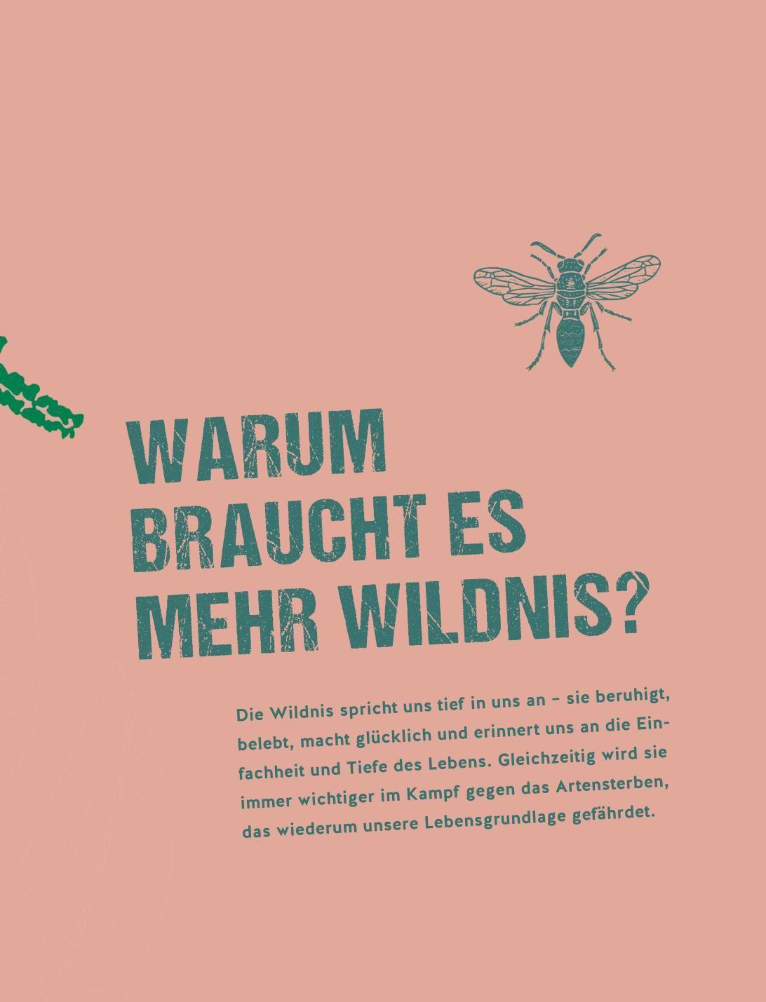 Beispielinhalt (Bild) Let's go wild!