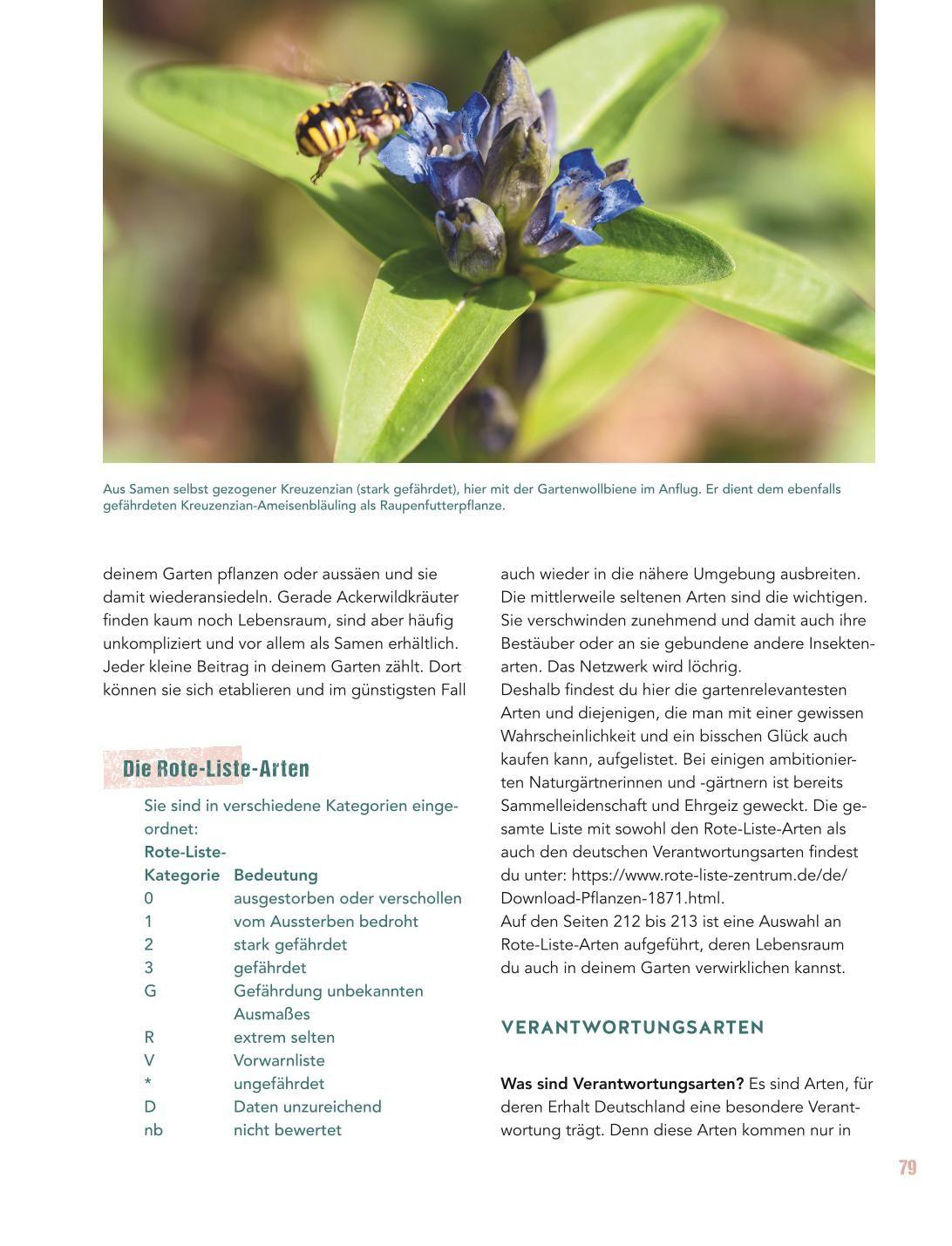 Beispielinhalt (Bild) Let's go wild!