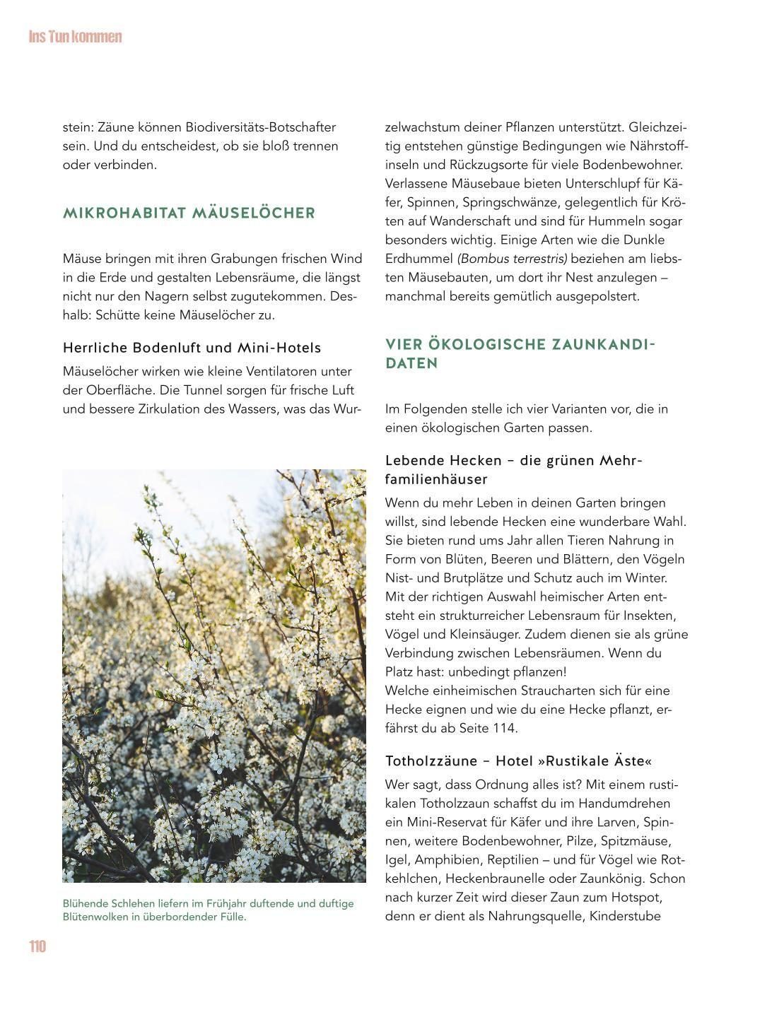 Beispielinhalt (Bild) Let's go wild!