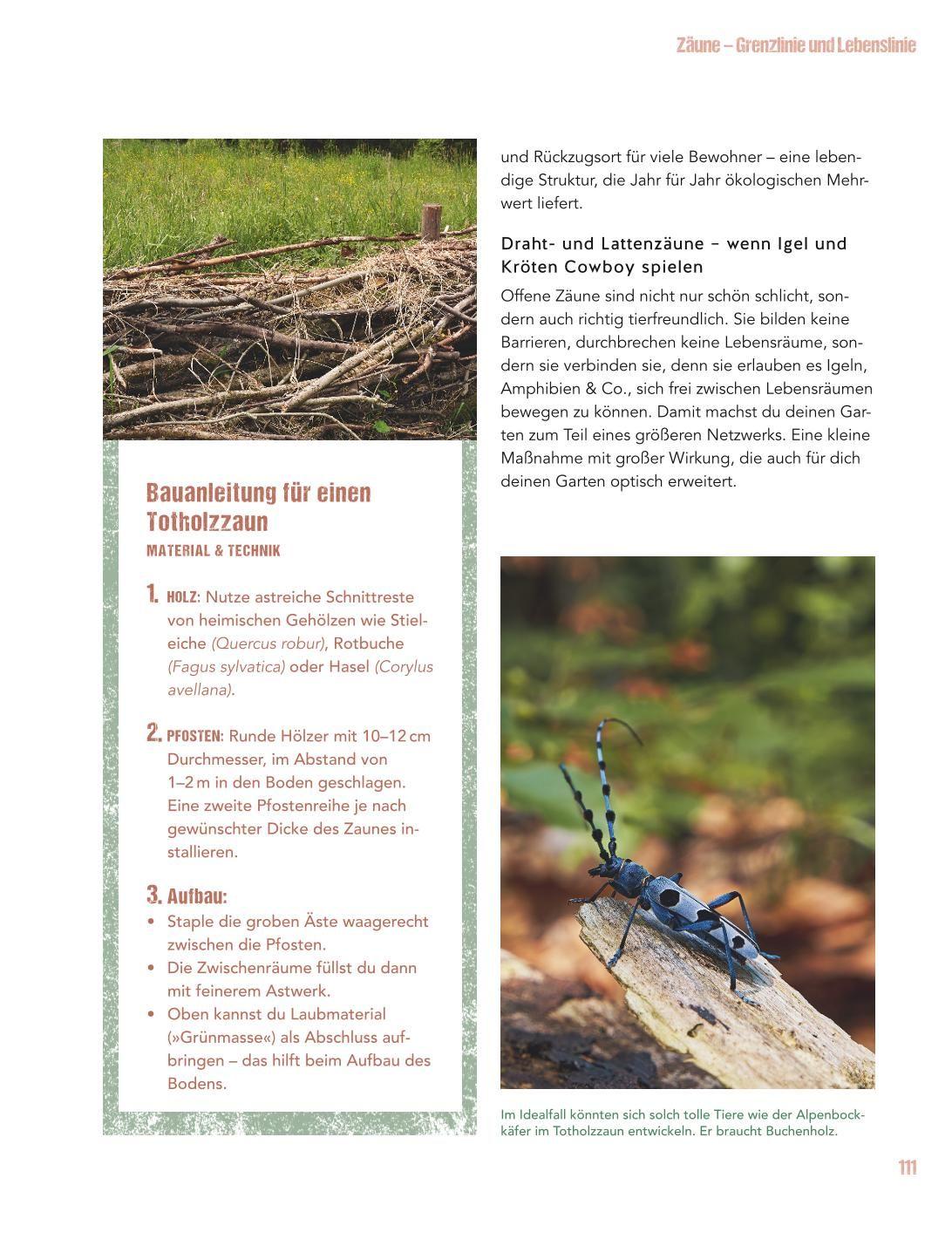 Beispielinhalt (Bild) Let's go wild!