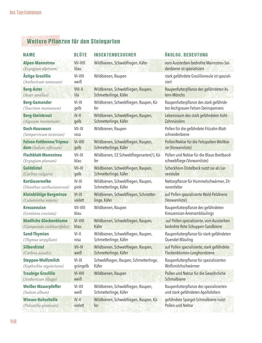 Beispielinhalt (Bild) Let's go wild!