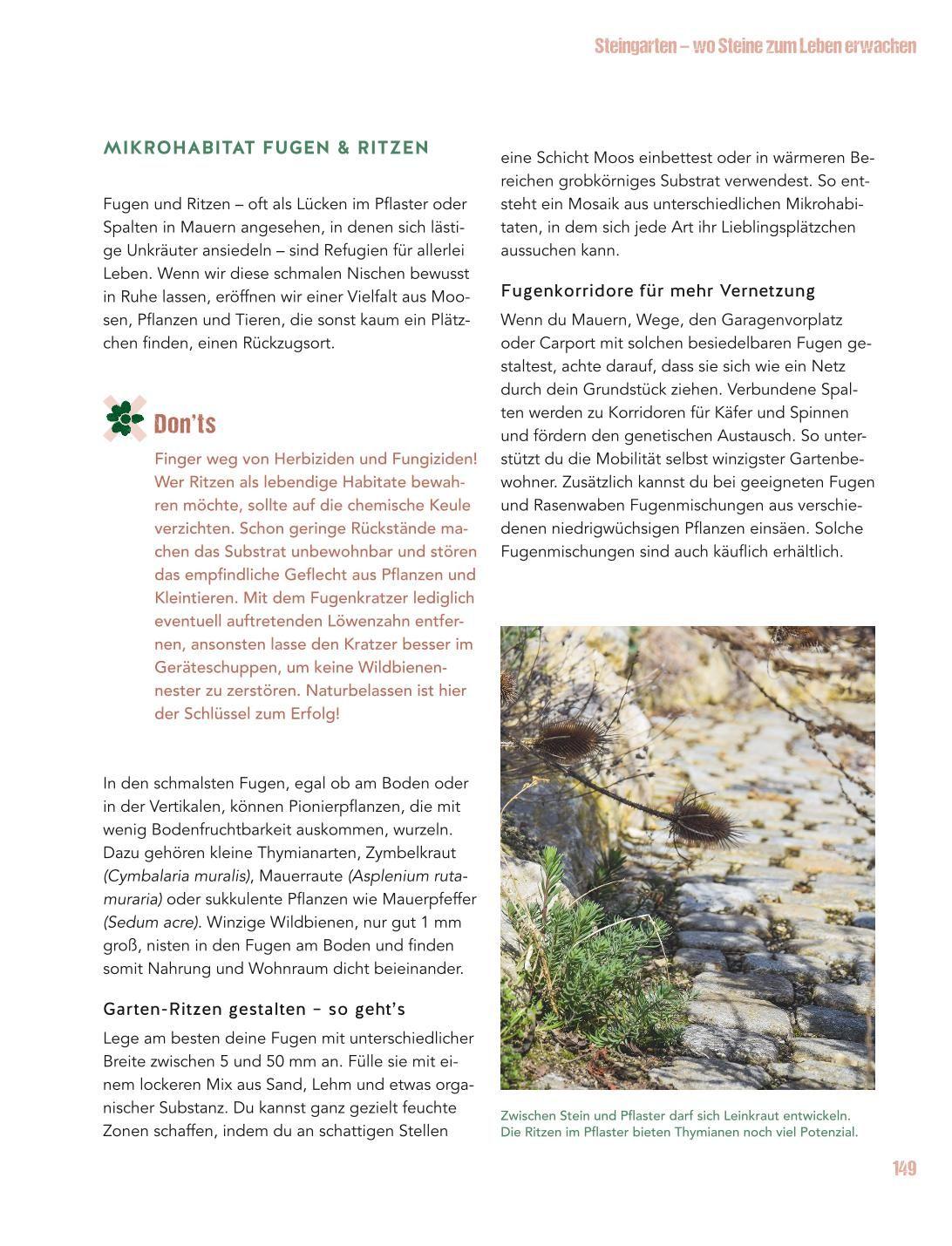 Beispielinhalt (Bild) Let's go wild!