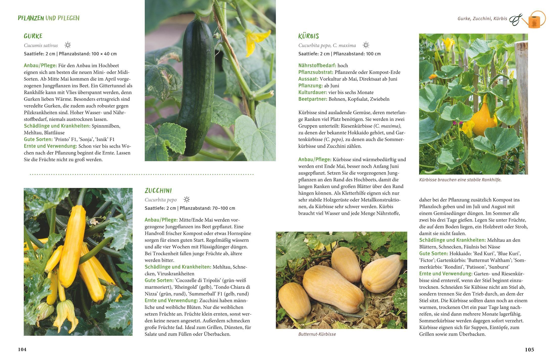 Beispielinhalt (Bild) Gärtnern mit dem Hochbeet