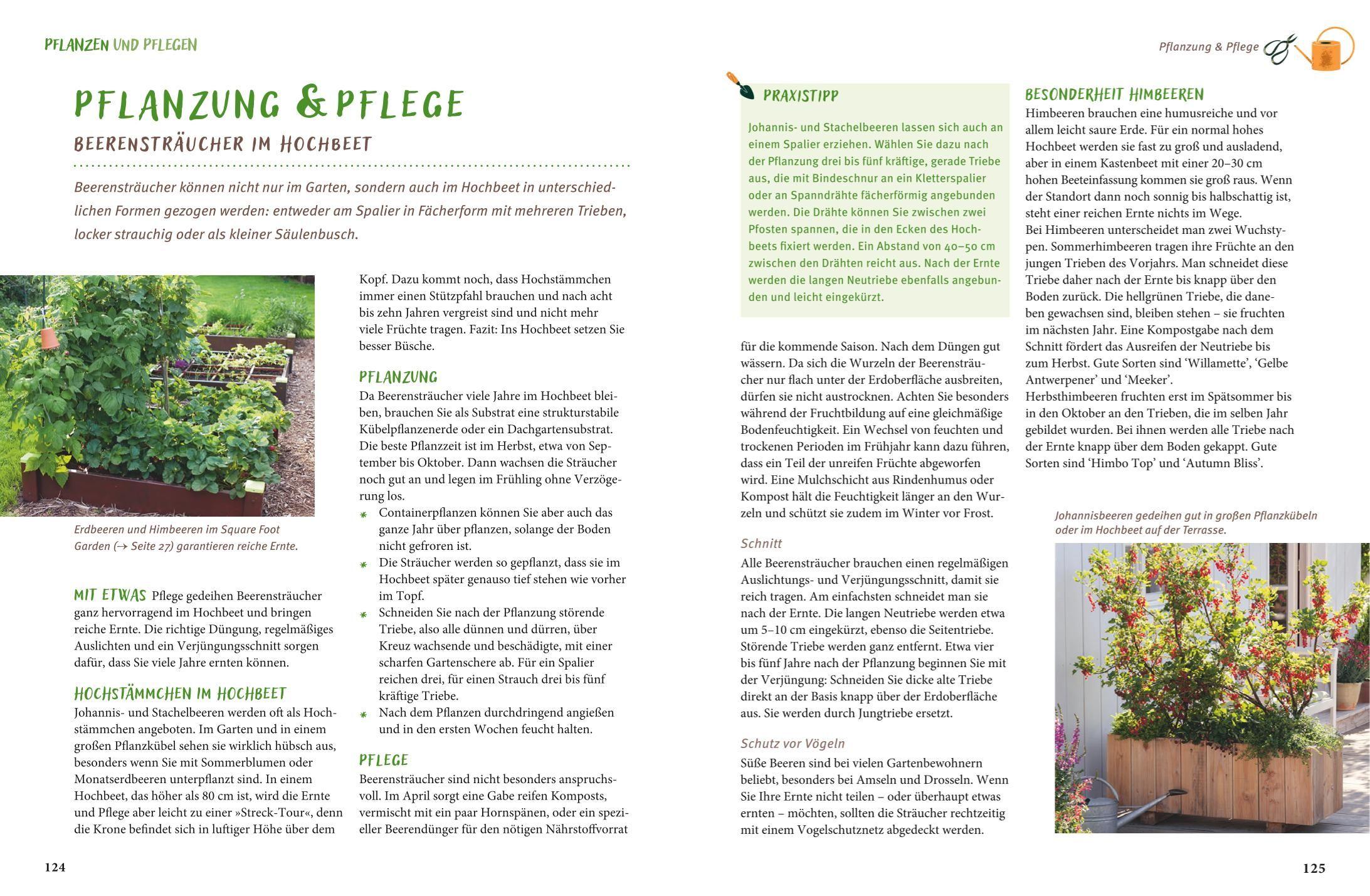 Beispielinhalt (Bild) Gärtnern mit dem Hochbeet