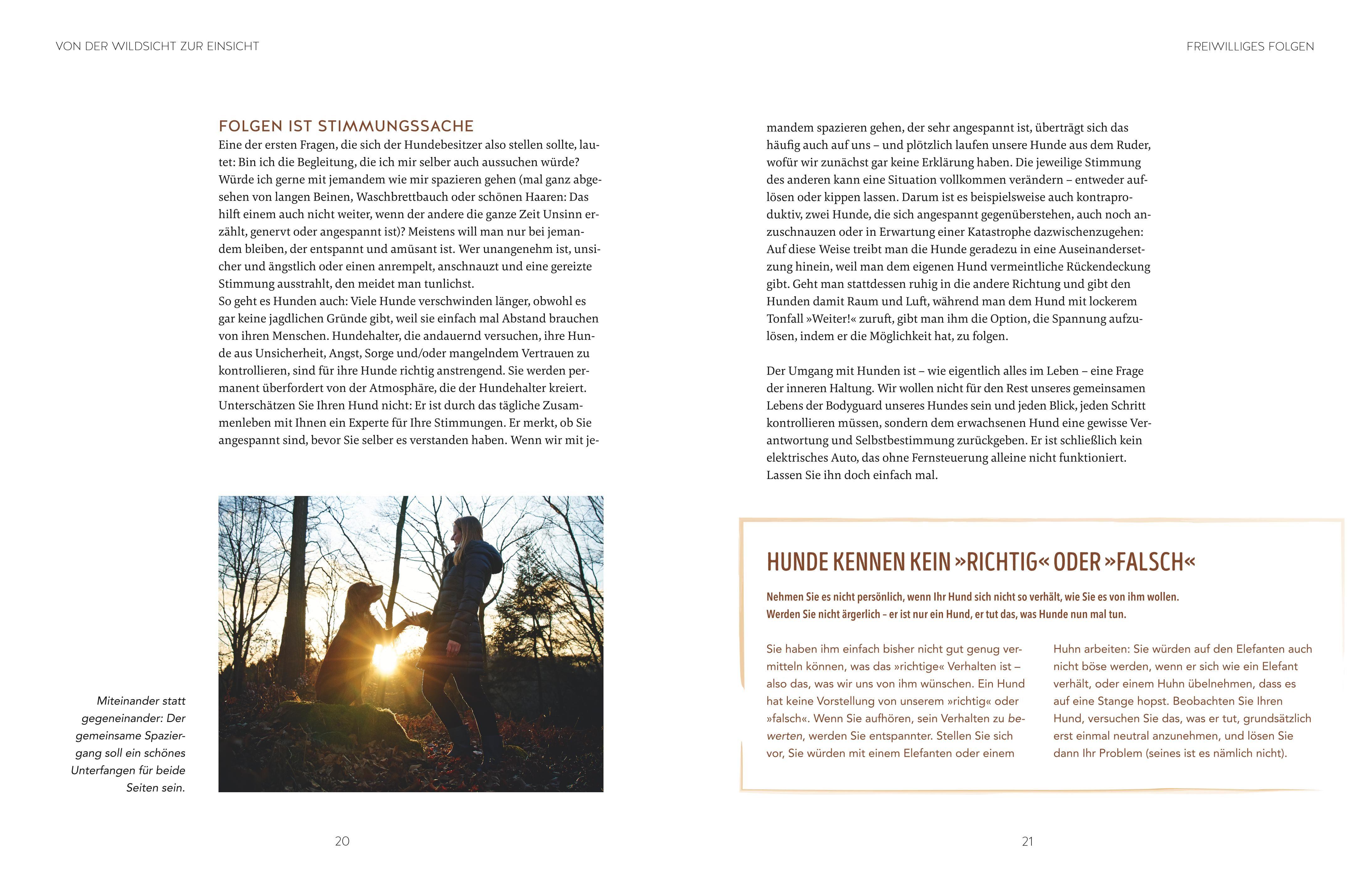 Beispielinhalt (Bild) Leinen los! Freilauftraining für den Hund