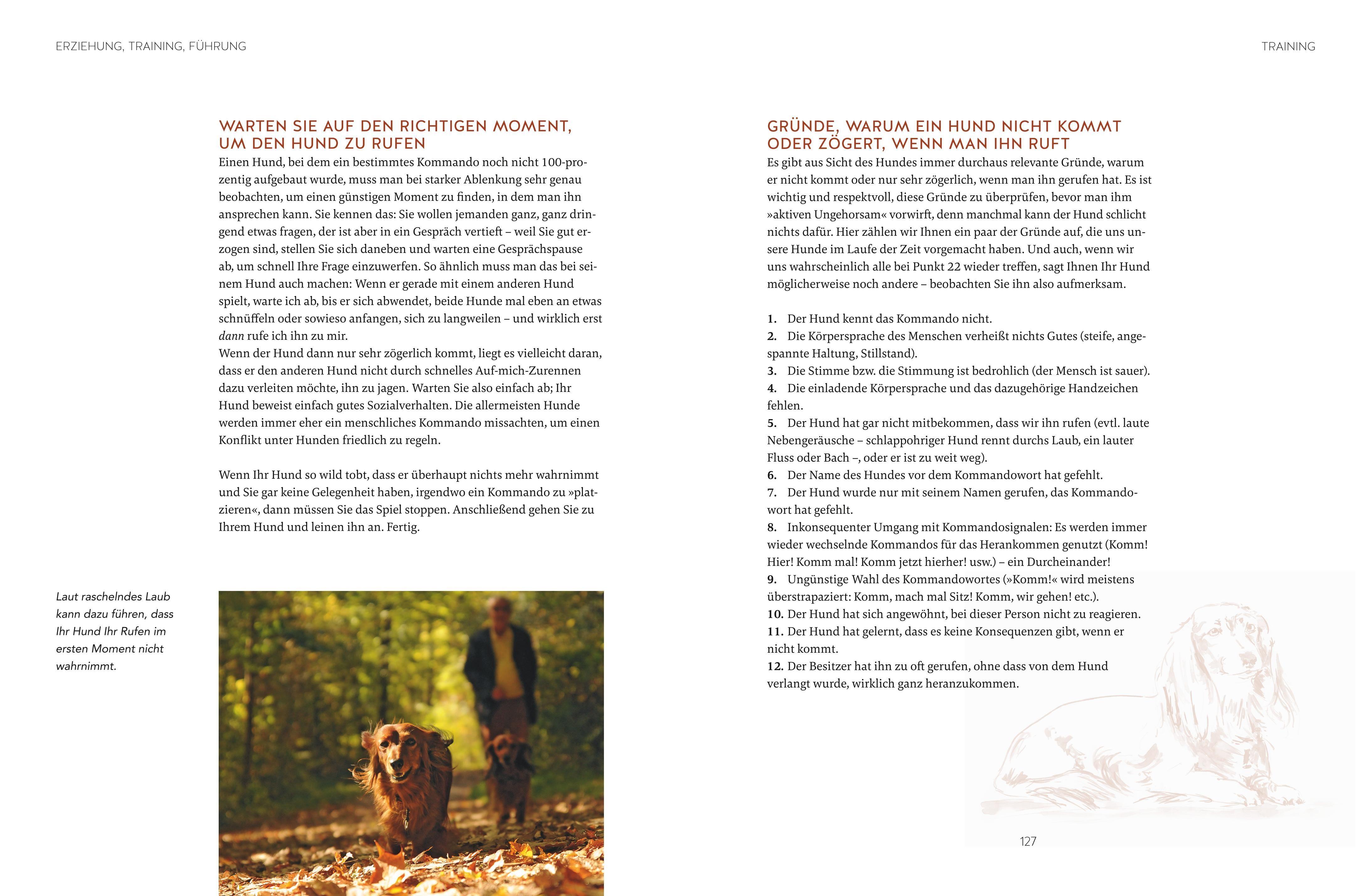 Beispielinhalt (Bild) Leinen los! Freilauftraining für den Hund