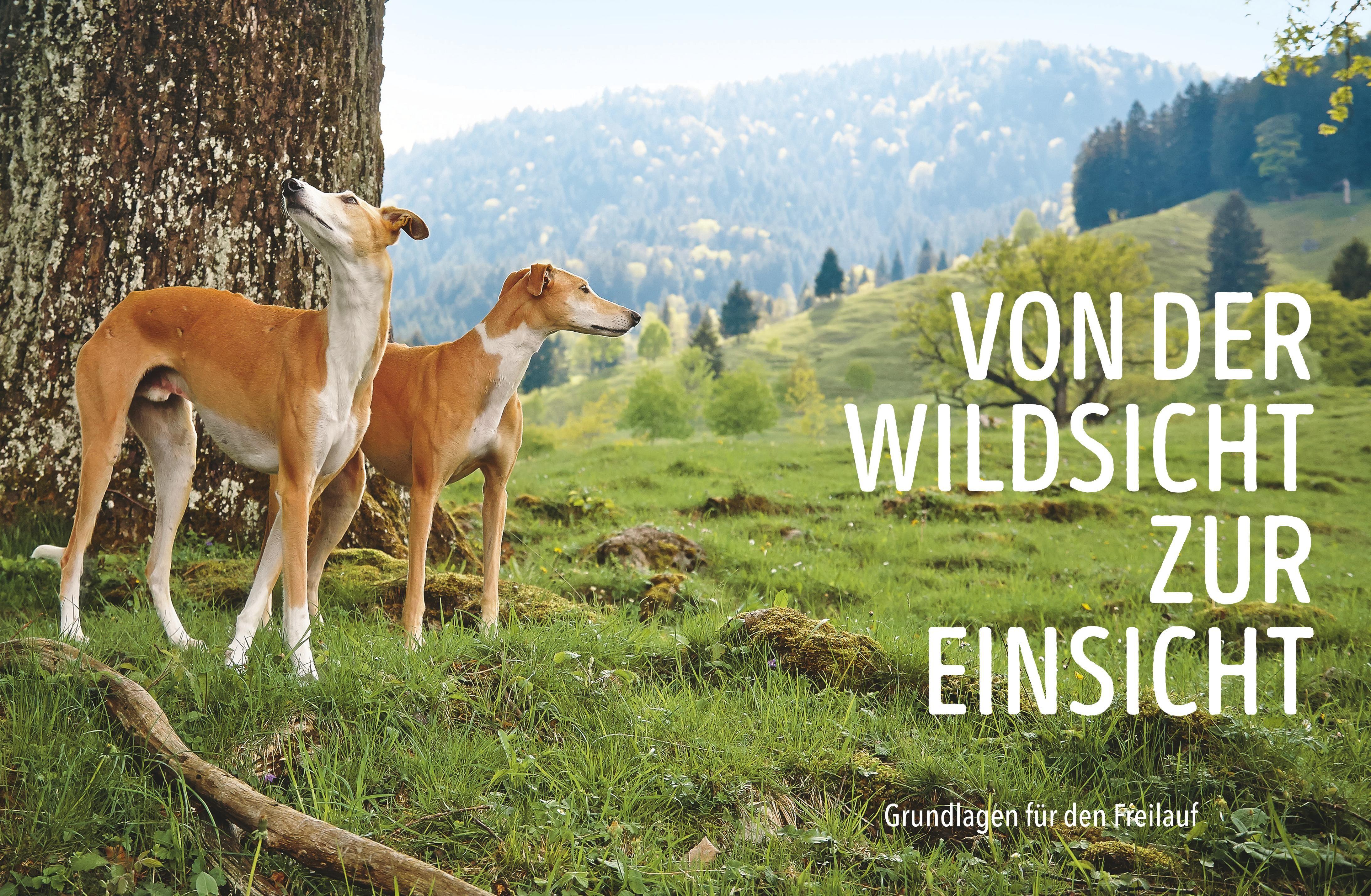 Beispielinhalt (Bild) Leinen los! Freilauftraining für den Hund