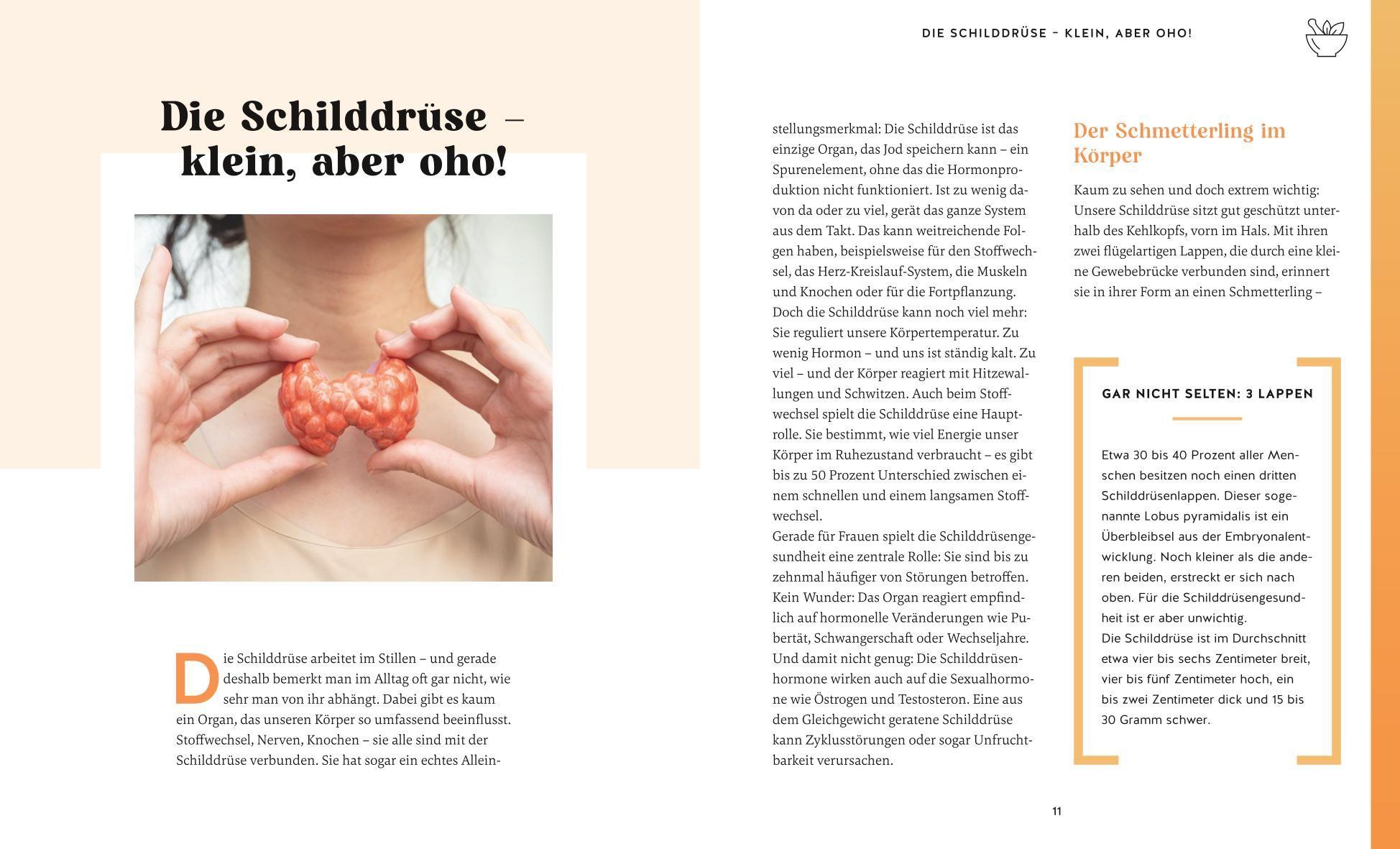 Beispielinhalt (Bild) Meine Gesundheitsretter aus der Natur für eine starke Schilddrüse