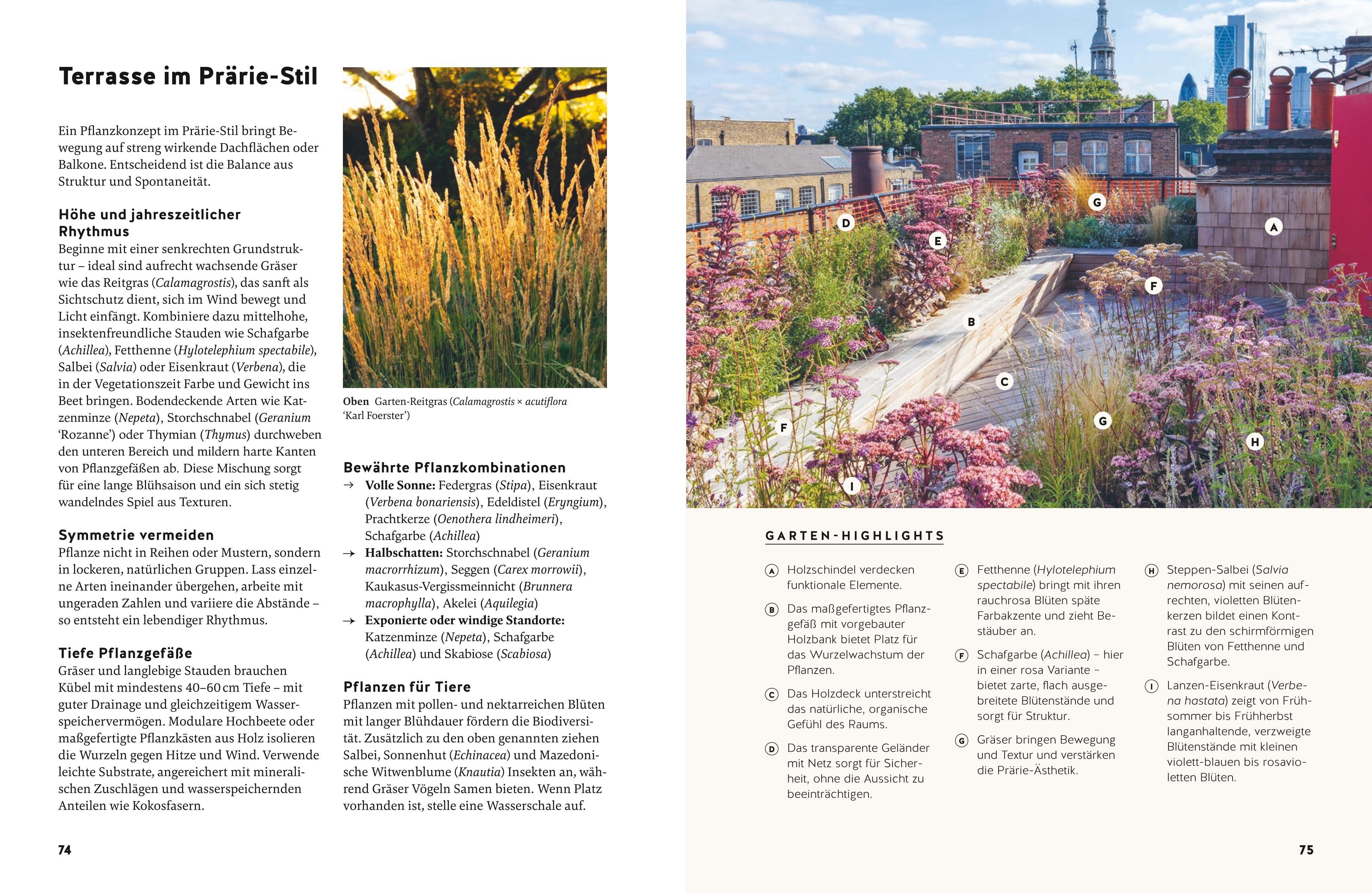 Beispielinhalt (Bild) Small Garden Beauty