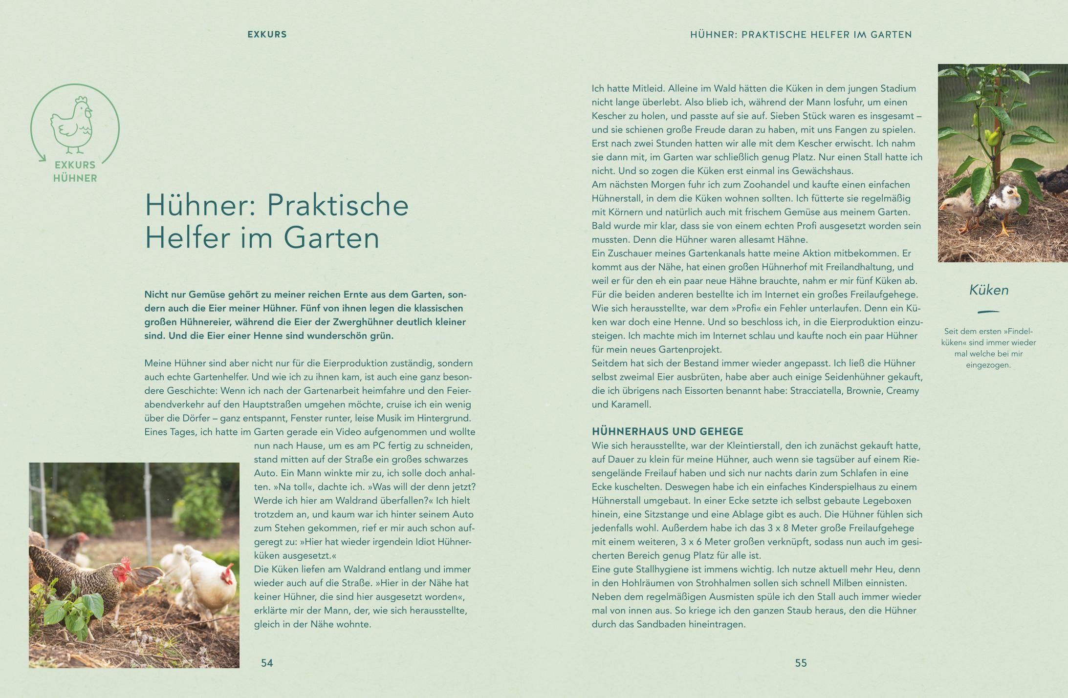 Beispielinhalt (Bild) Mehr Power für dein Gemüse