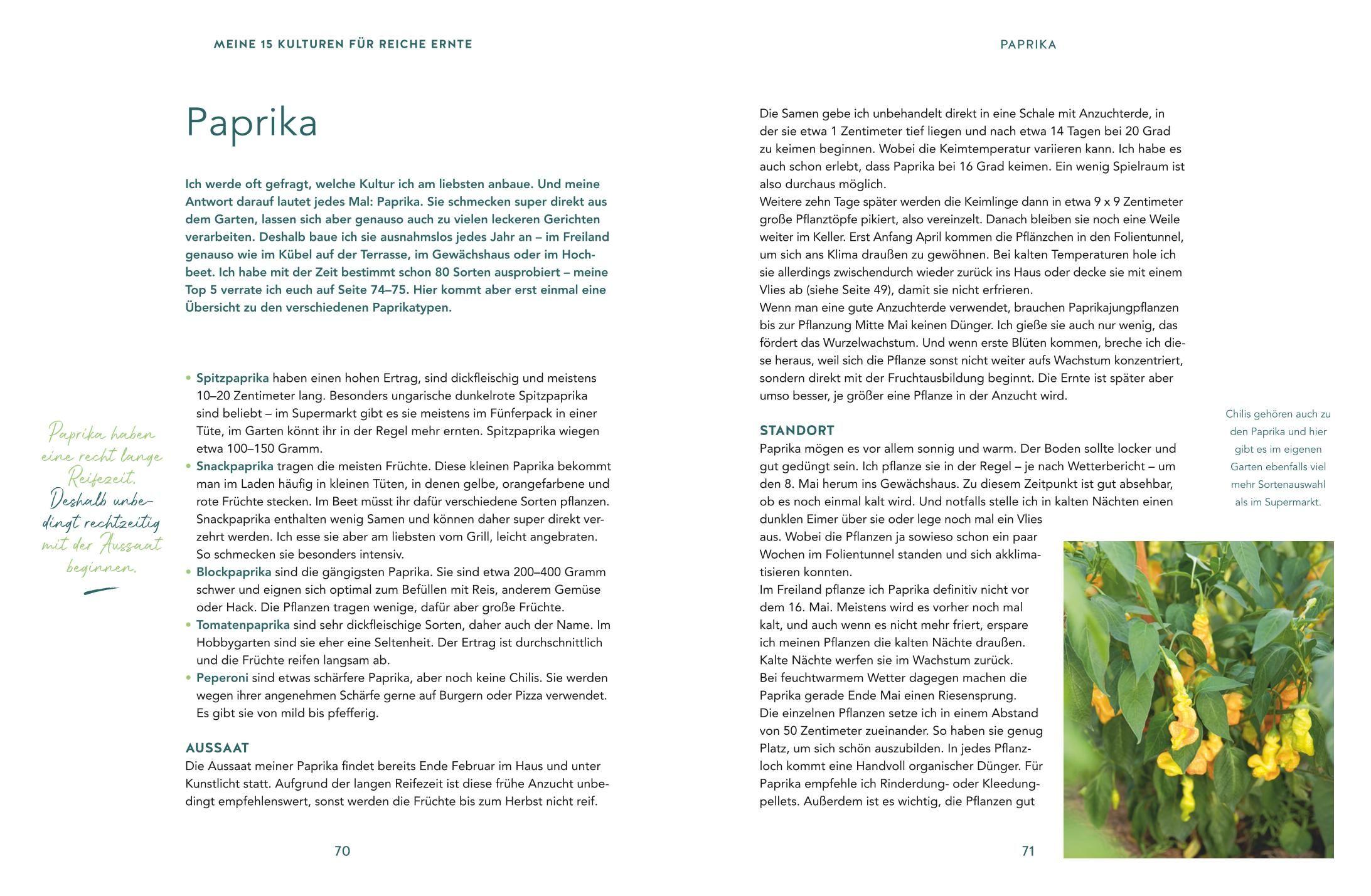 Beispielinhalt (Bild) Mehr Power für dein Gemüse