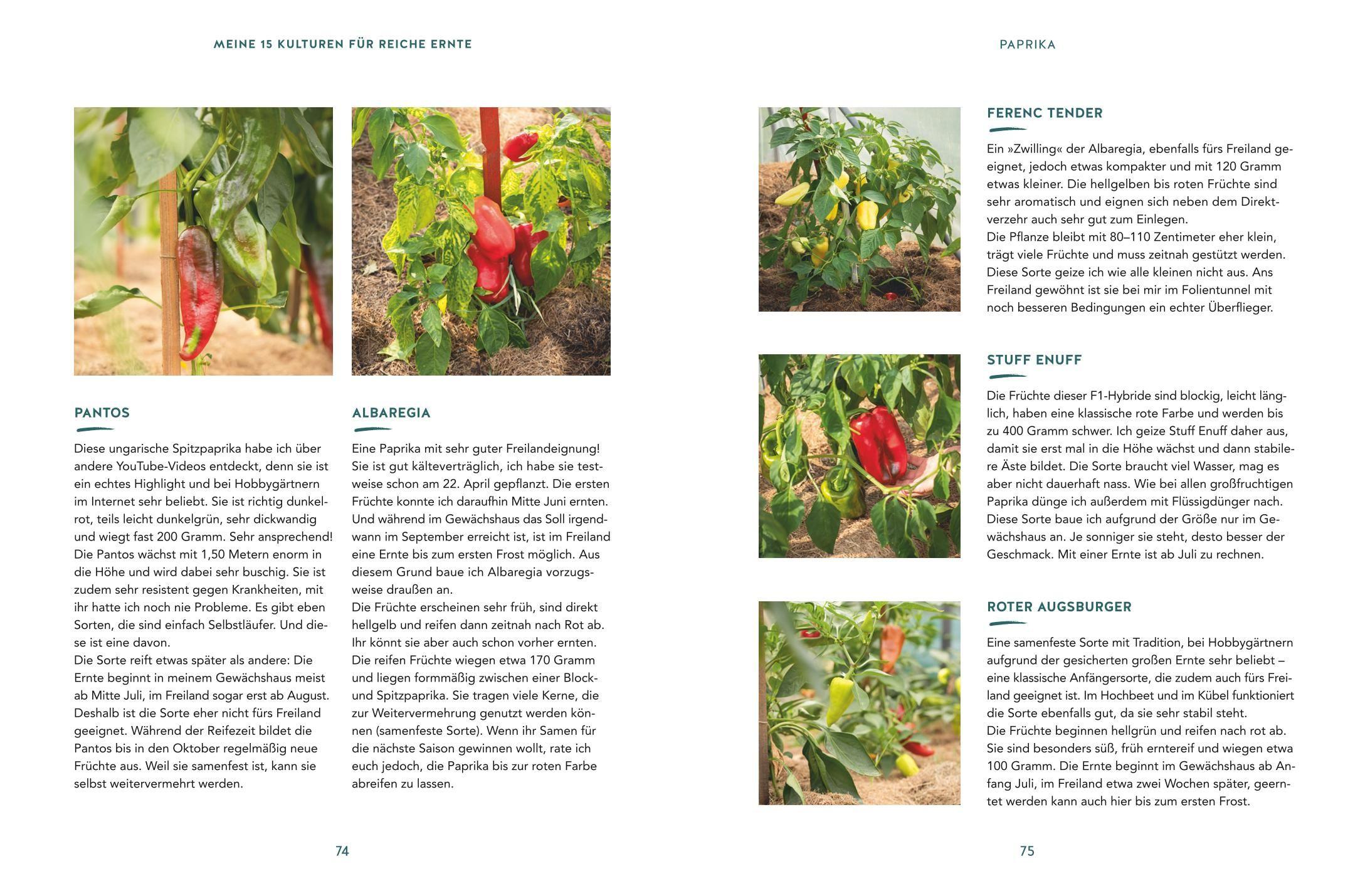 Beispielinhalt (Bild) Mehr Power für dein Gemüse