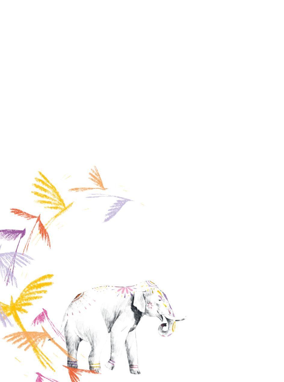 Beispielinhalt (Bild) Der Rikscha-Fahrer, der dir das Glück zeigt