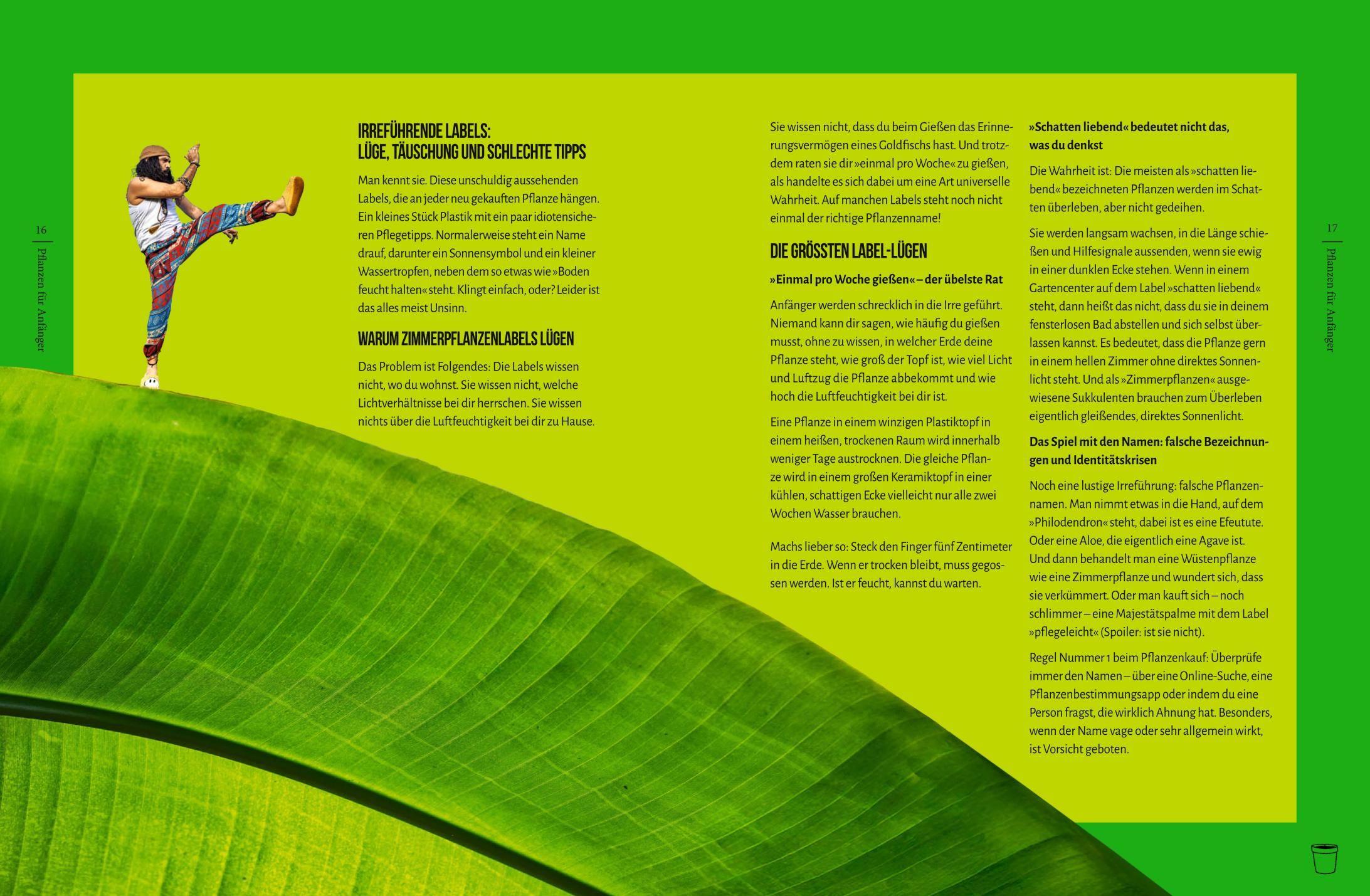 Beispielinhalt (Bild) You're overwatering it!