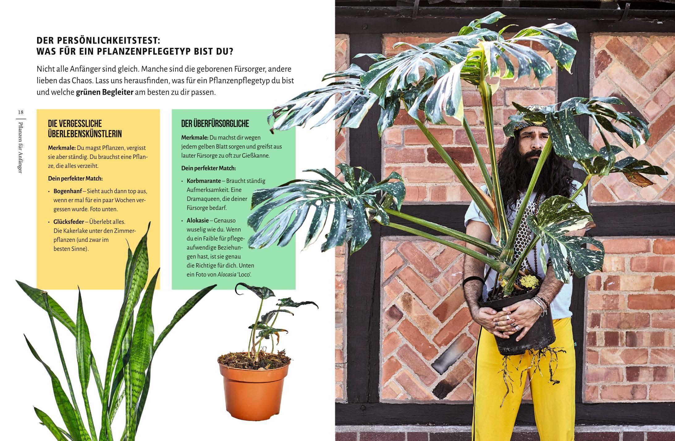 Beispielinhalt (Bild) You're overwatering it!