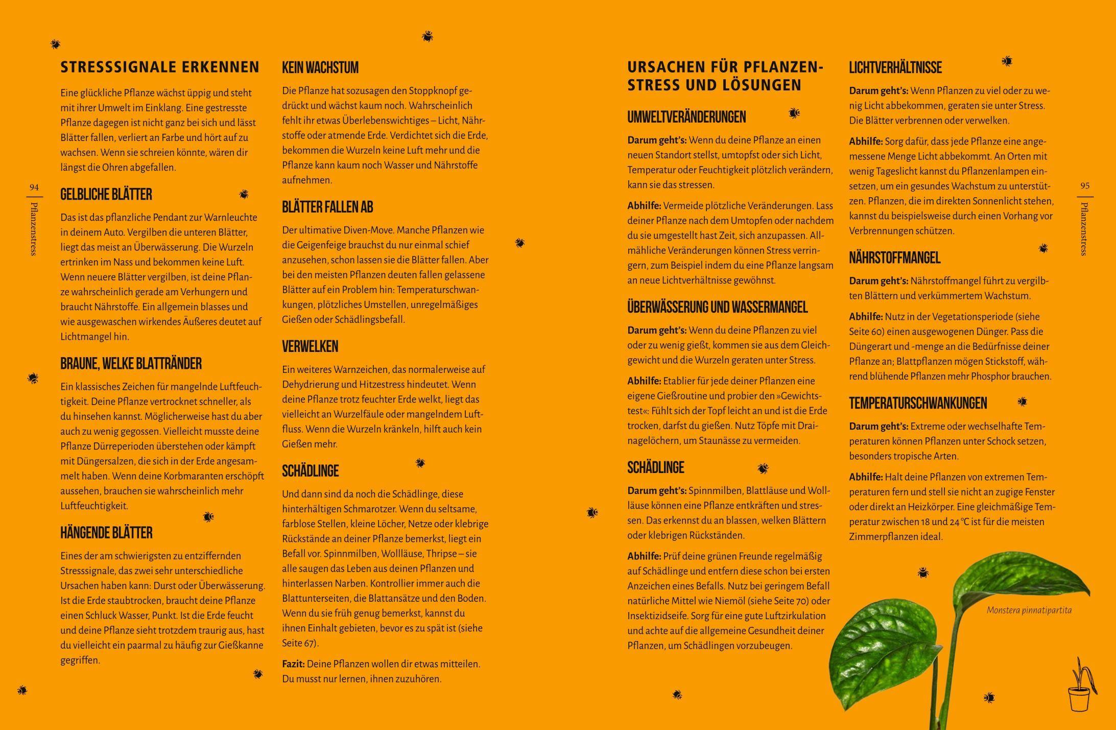 Beispielinhalt (Bild) You're overwatering it!