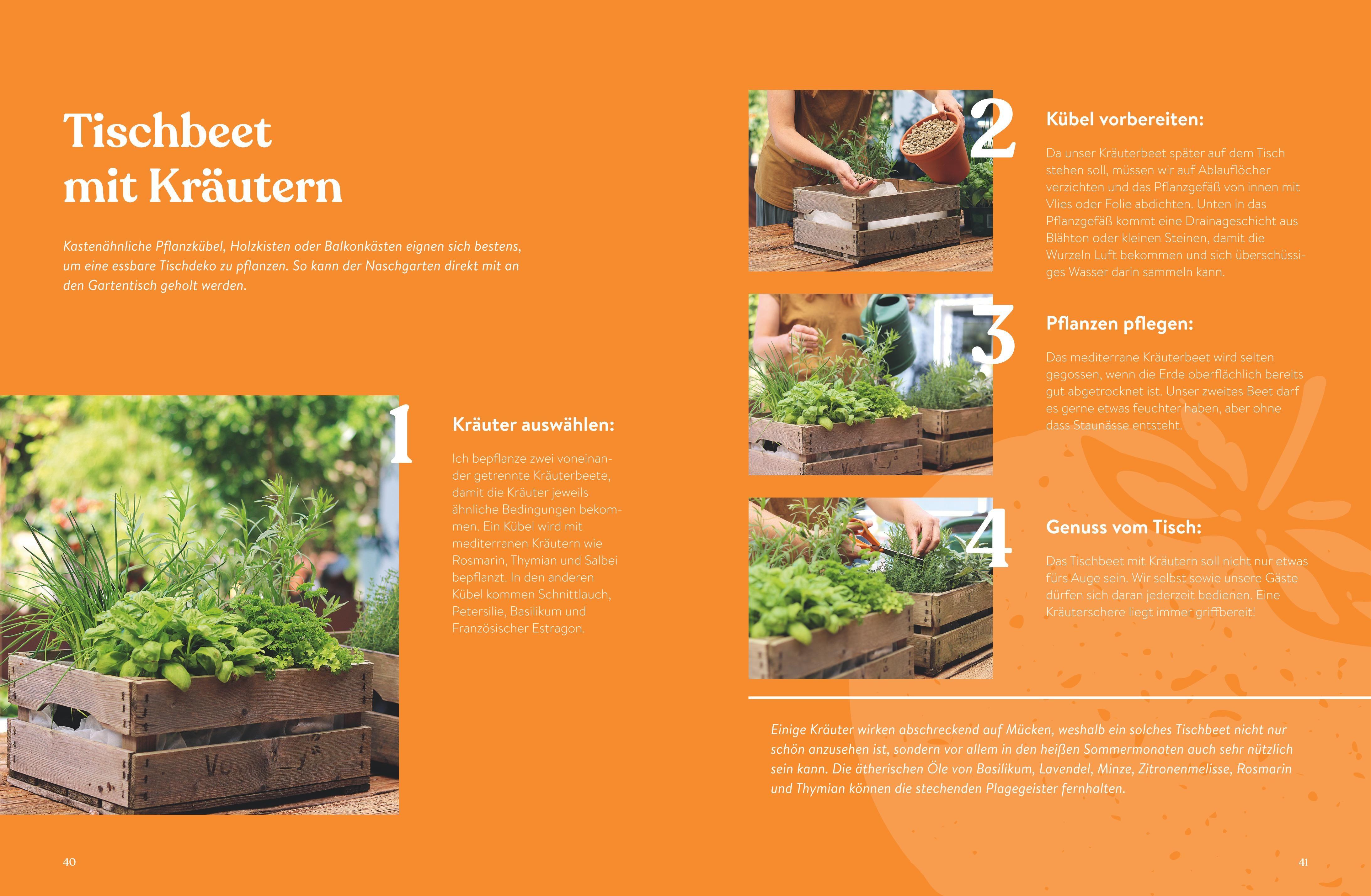 Beispielinhalt (Bild) Pflück dich glücklich!