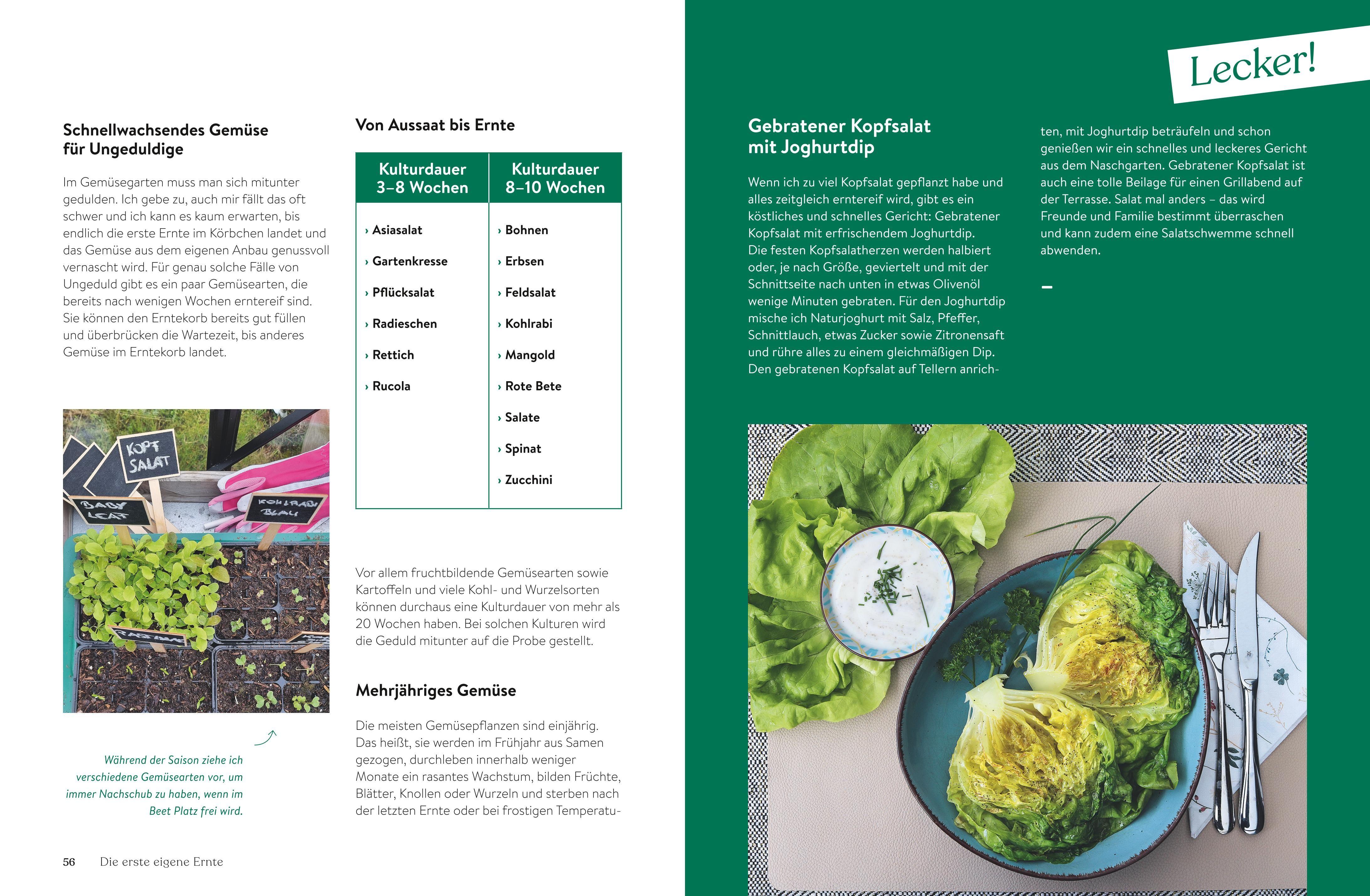 Beispielinhalt (Bild) Pflück dich glücklich!