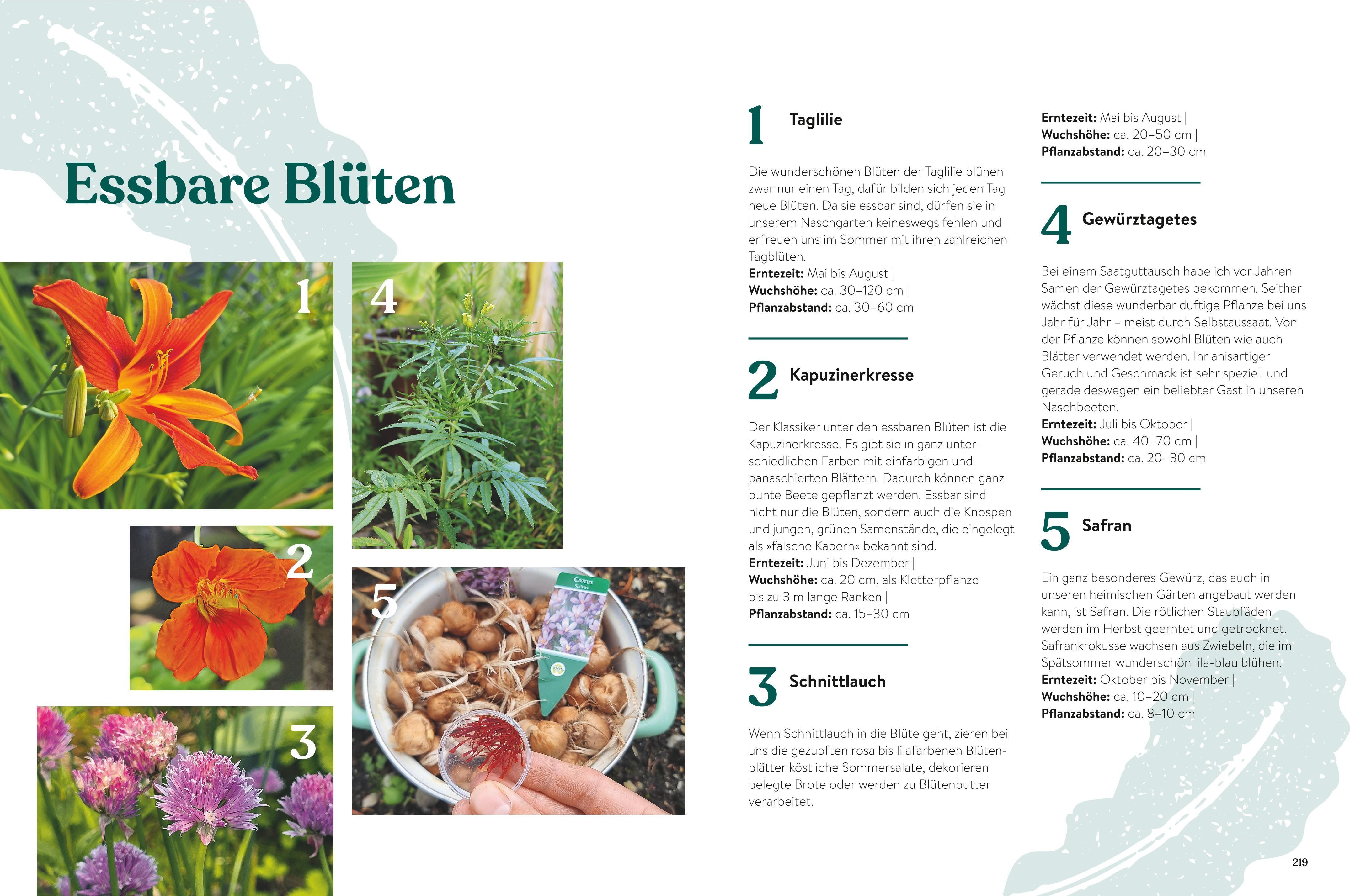 Beispielinhalt (Bild) Pflück dich glücklich!