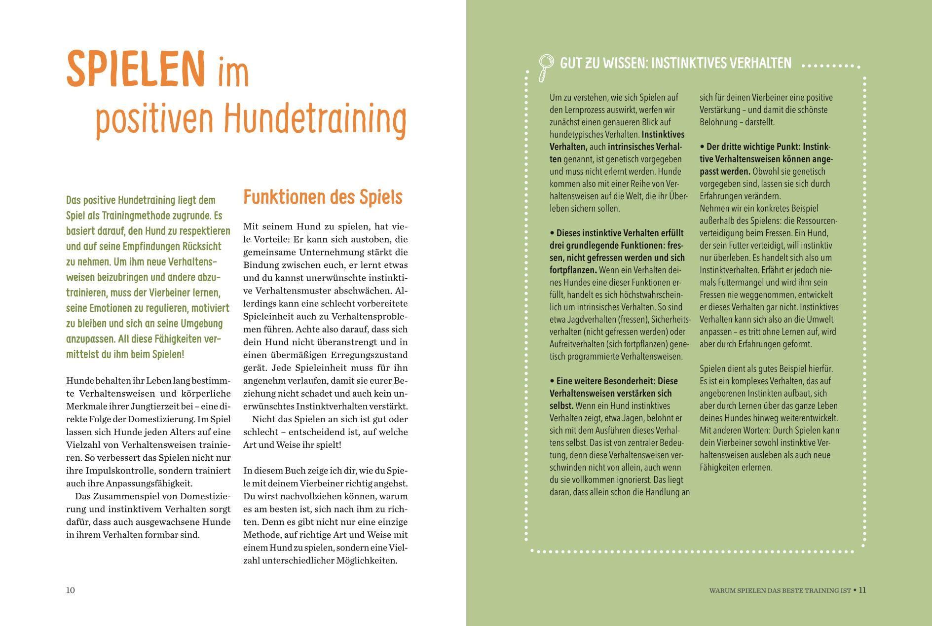 Beispielinhalt (Bild) Spielerische Hundeerziehung