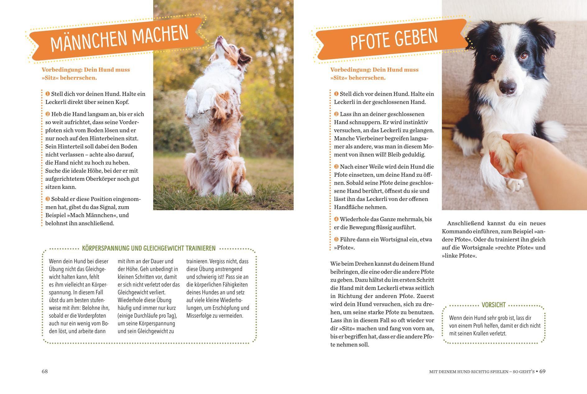 Beispielinhalt (Bild) Spielerische Hundeerziehung