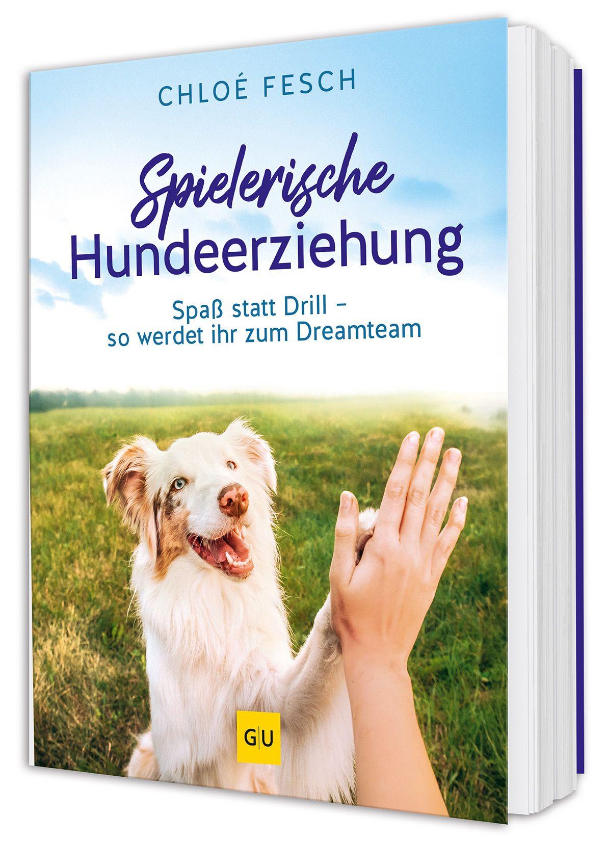 Vorderes Coverbild Spielerische Hundeerziehung