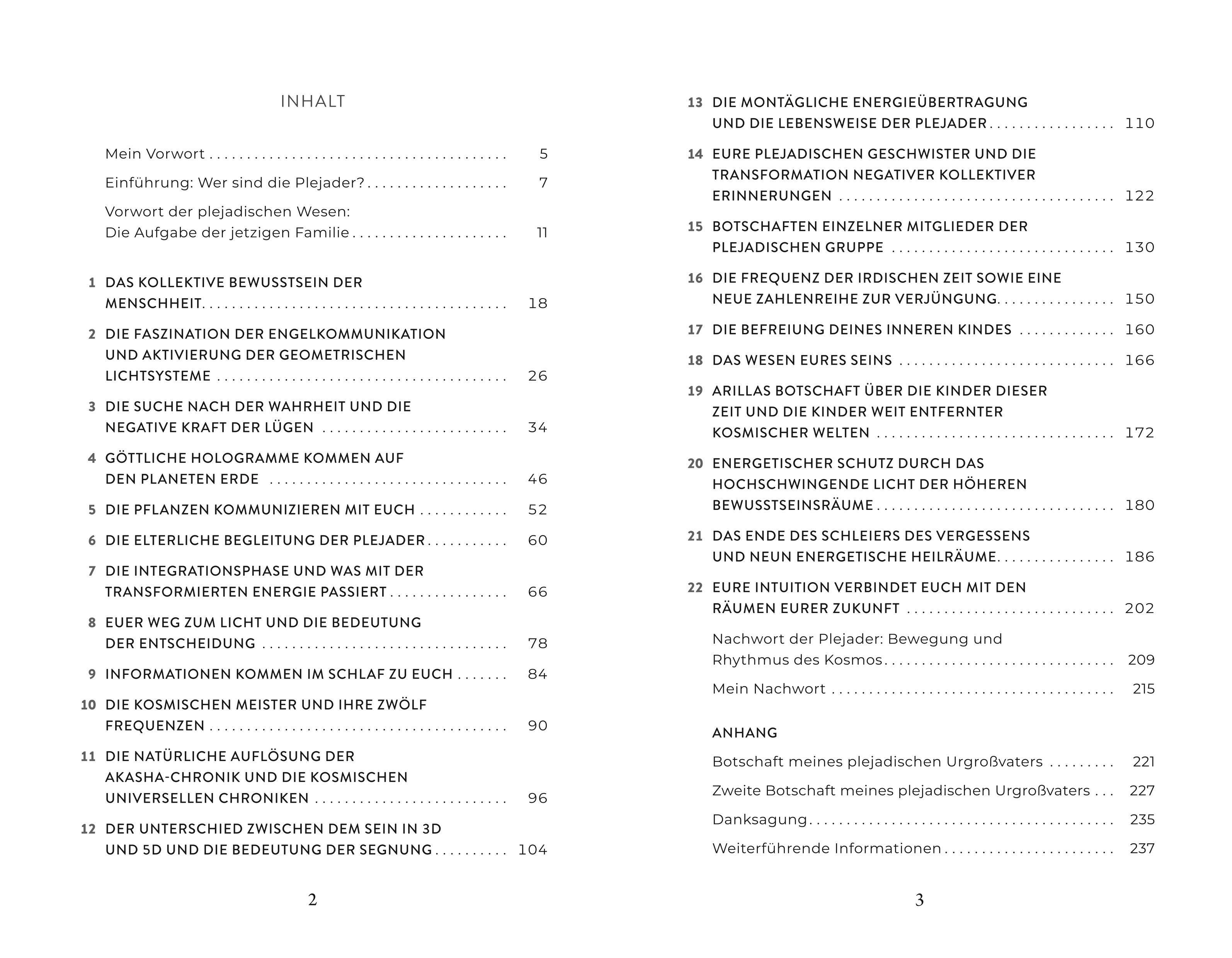 Beispielinhalt (Bild) Plejadische Intelligenz