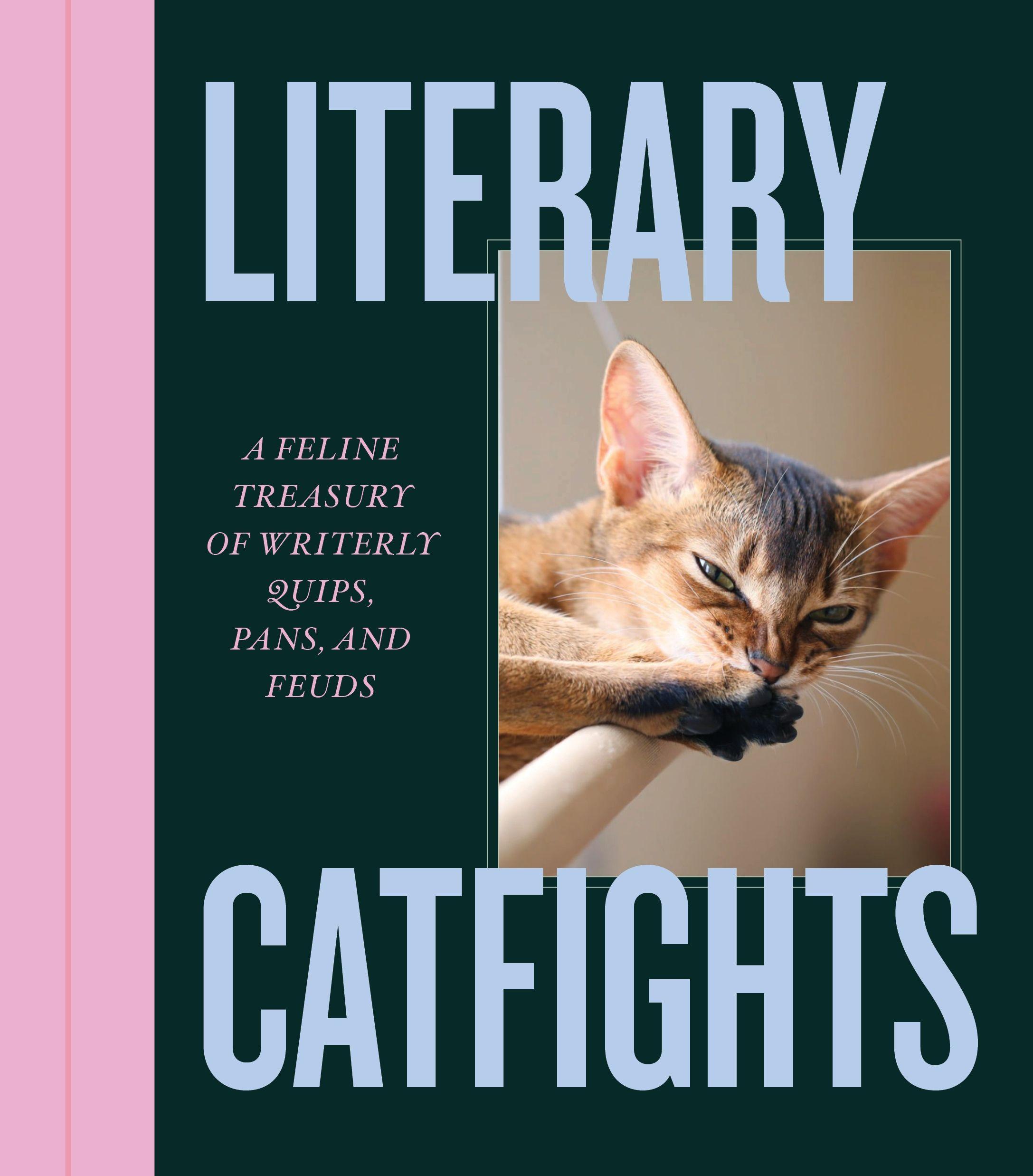 Vorderes Coverbild Literary Catfights